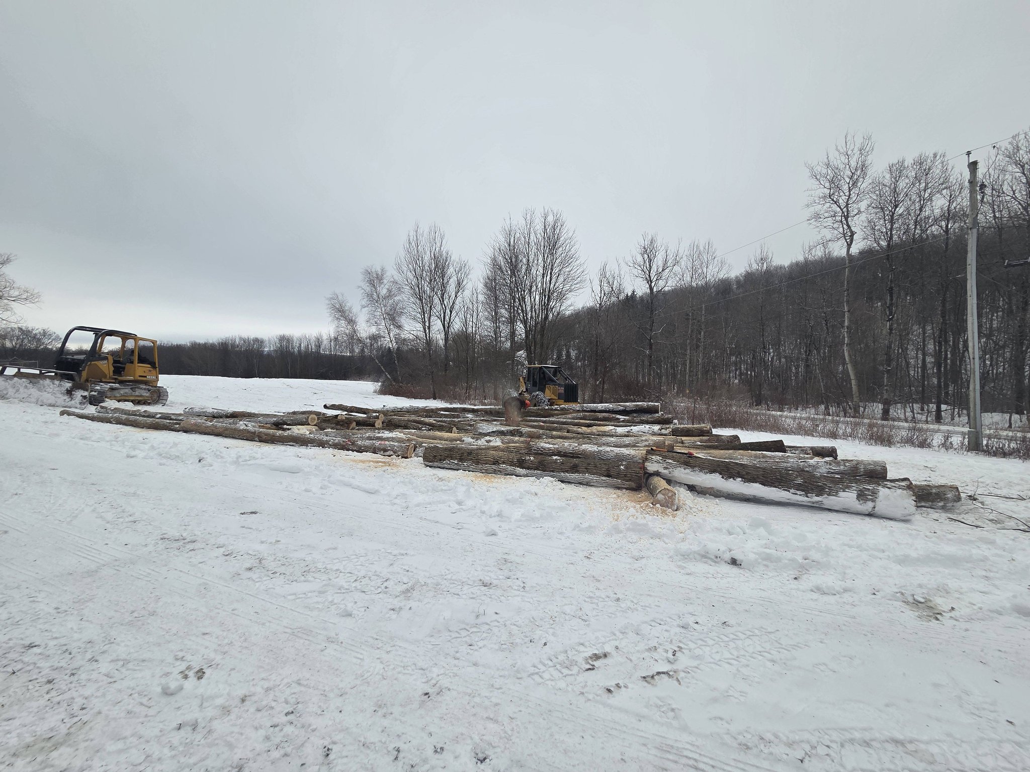 Bush logging & Forestry LLC... - Bush logging & Forestry LLC