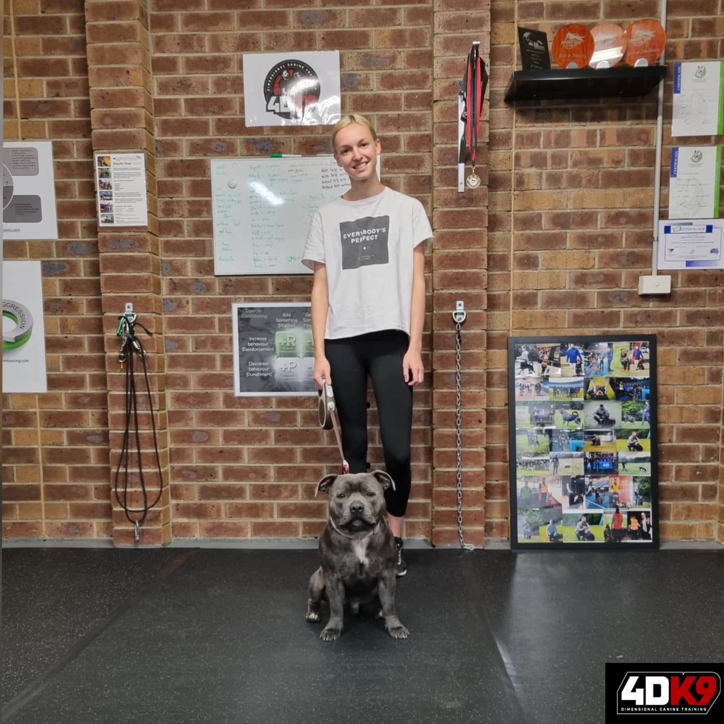 4D K9 - Dimensional Canine Training - Welcome to the 4DK9 Family Bella ...