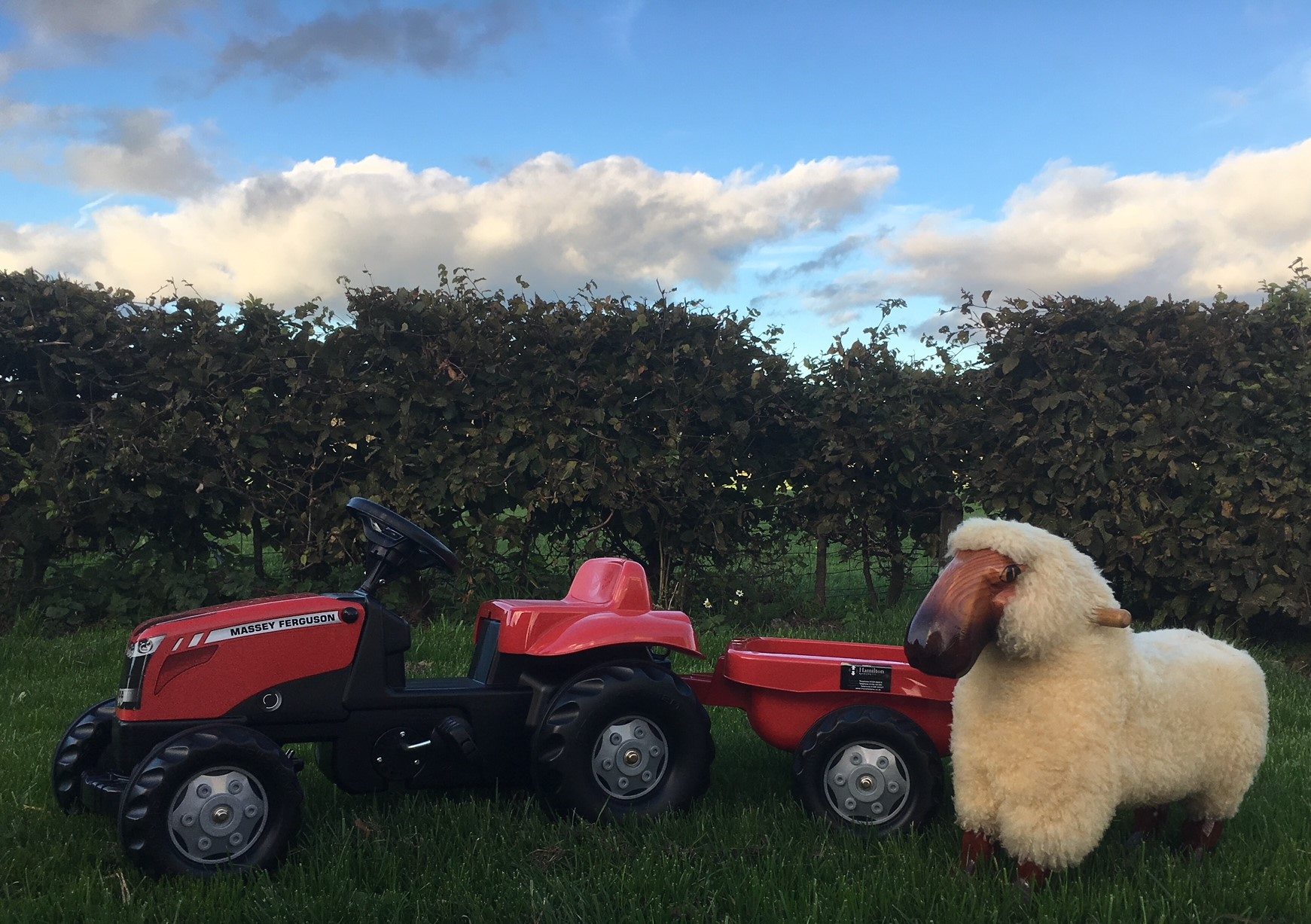 So excited to... - RHET Forth Valley Countryside Initiative