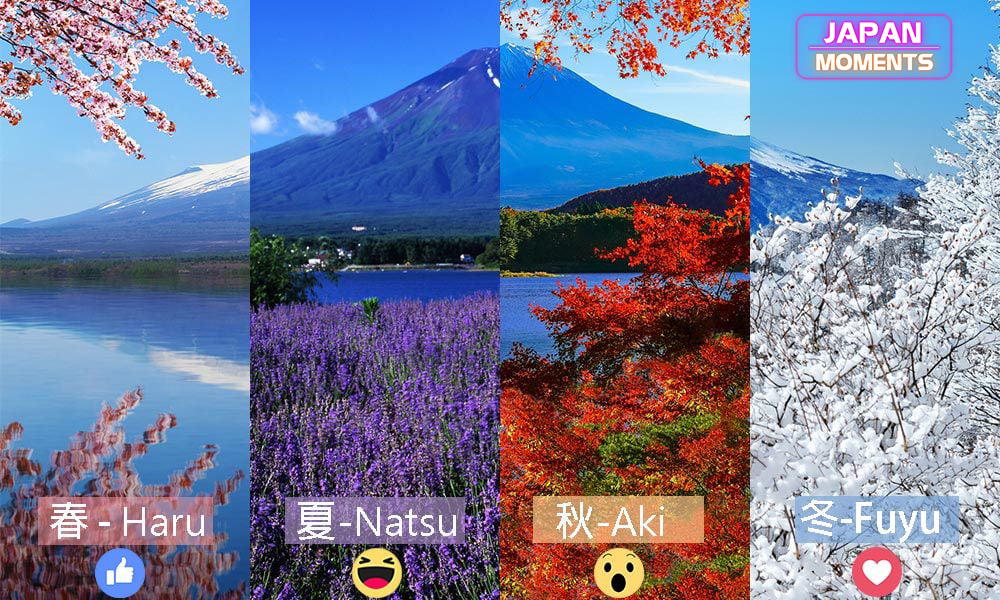 The four seasons in Japanese 🌼🌞🍁❄ The names of the four