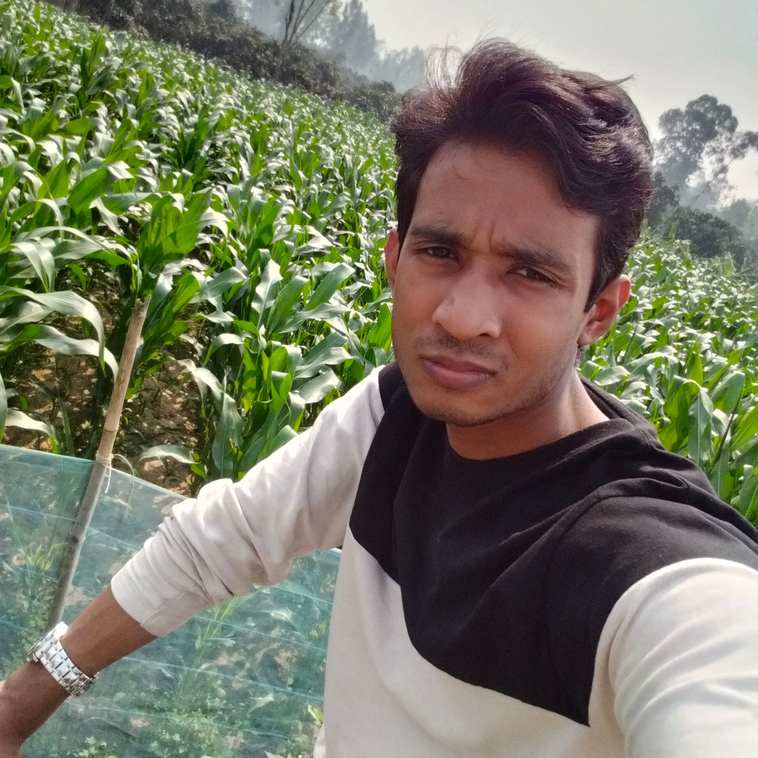 M R Rahman