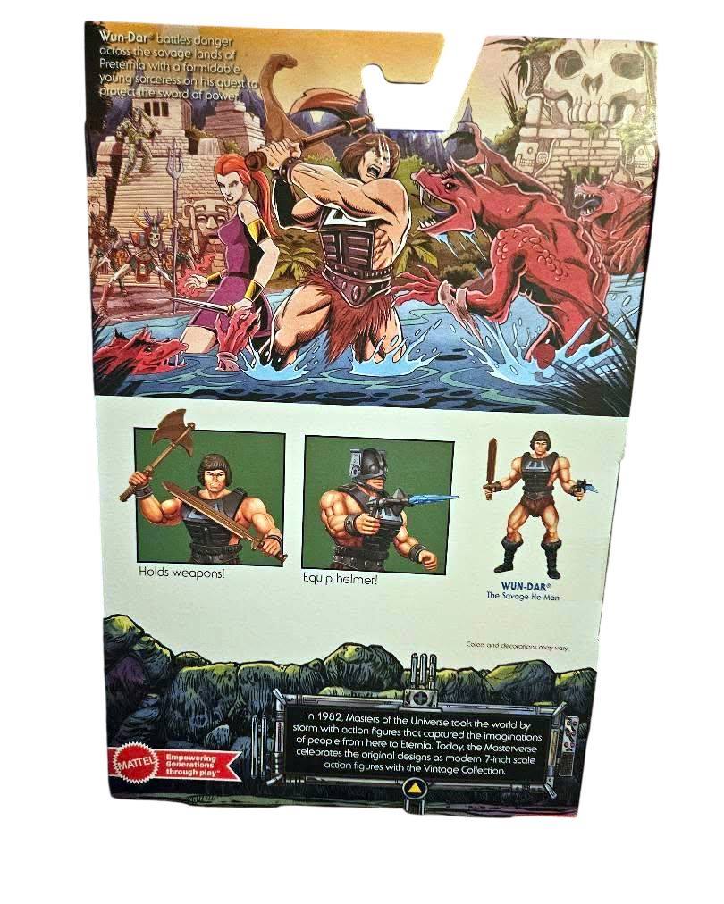 Masterverse vintage Evil-Lyn and Wun-Dar figures