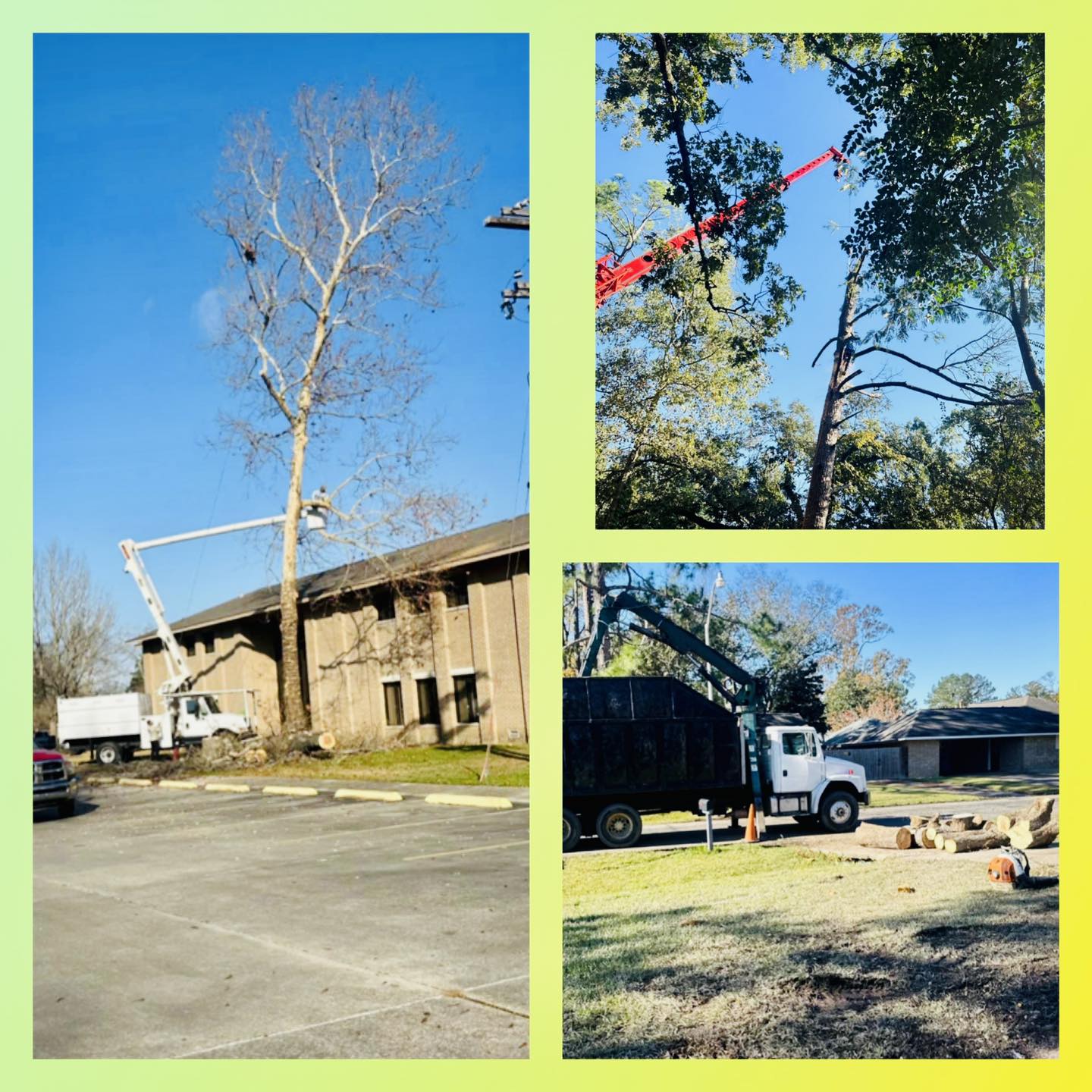 Garden Of Eden Tree Service