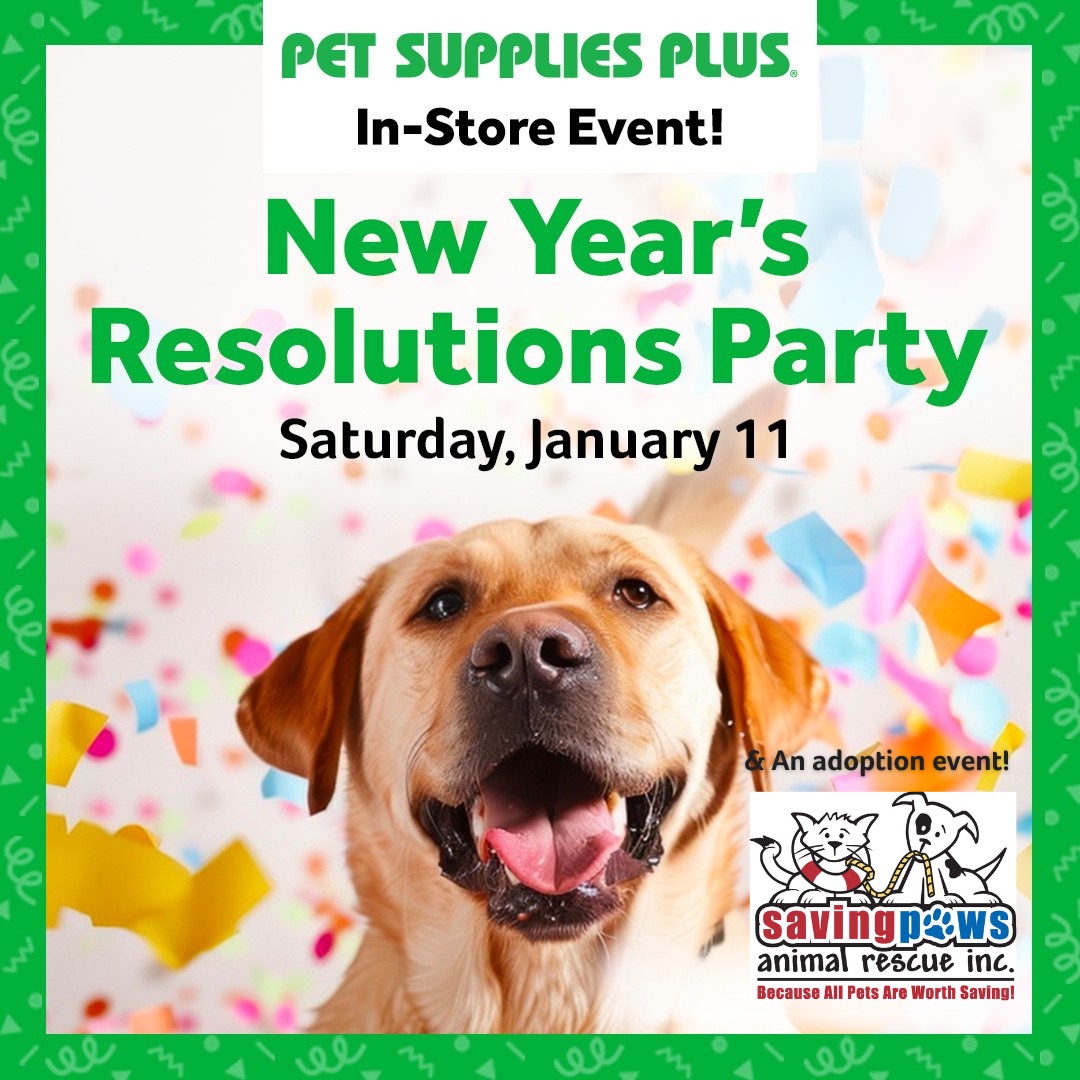 PSP New Year’s Resolutions Party