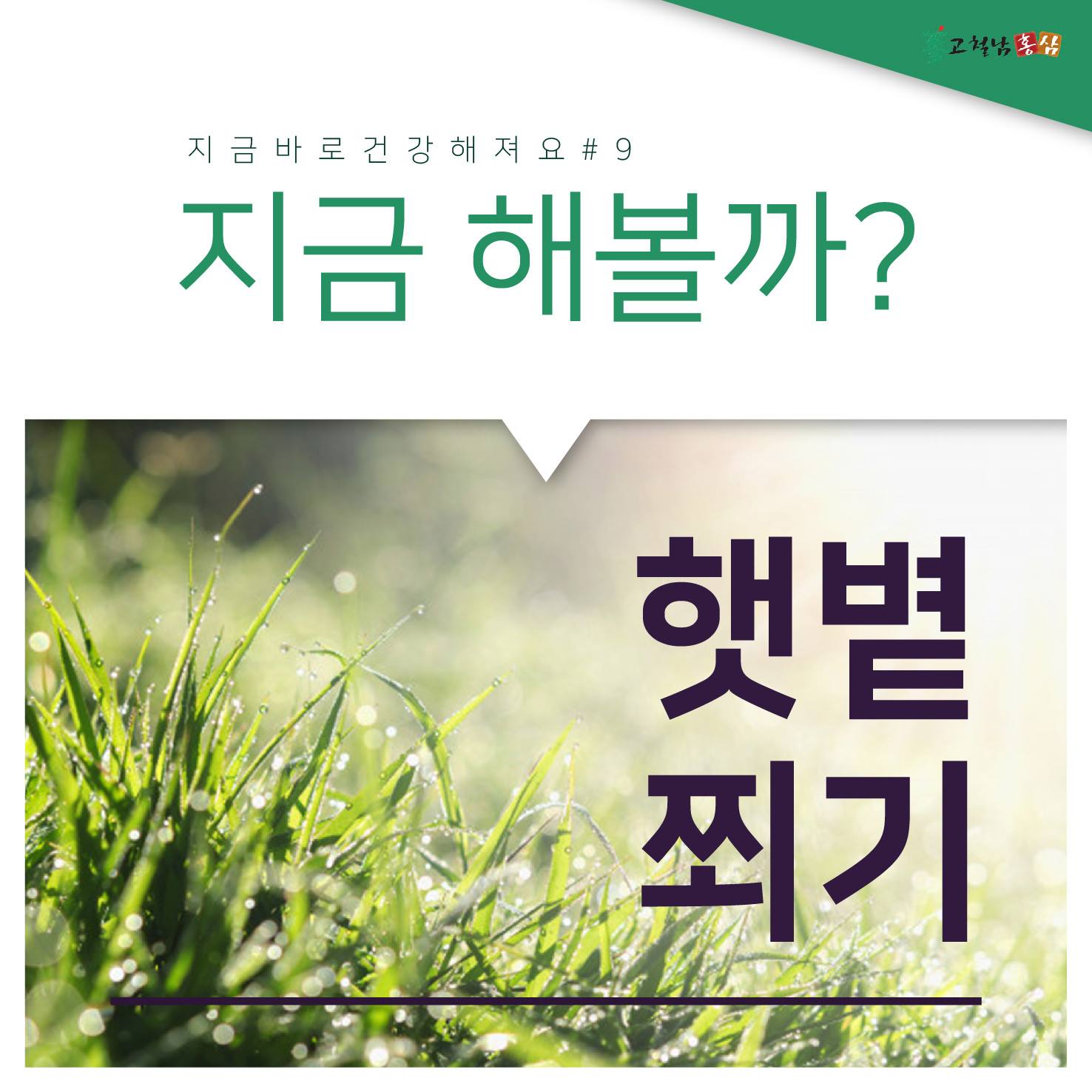 고철남홍삼 - [ 지금 해볼까 ? ] 9. 햇볕 쬐기 #고철남홍삼 #고철남 #홍삼 #지금해볼까... | Facebook