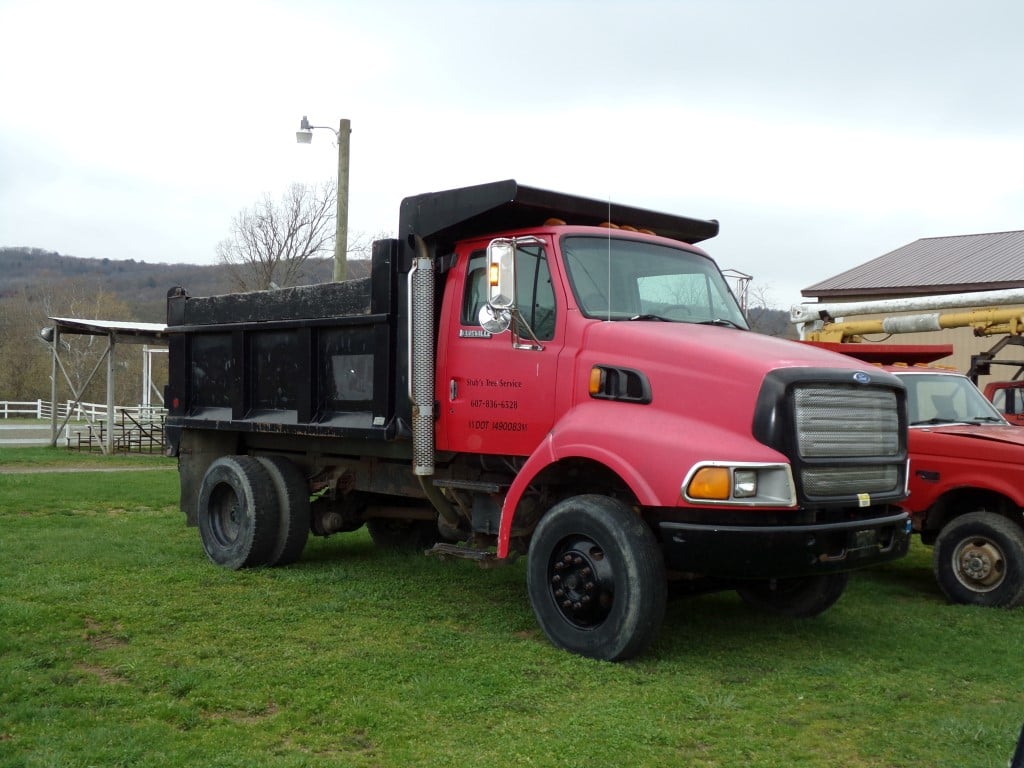 Amish school consignment auction in Virginia with tools, animals
