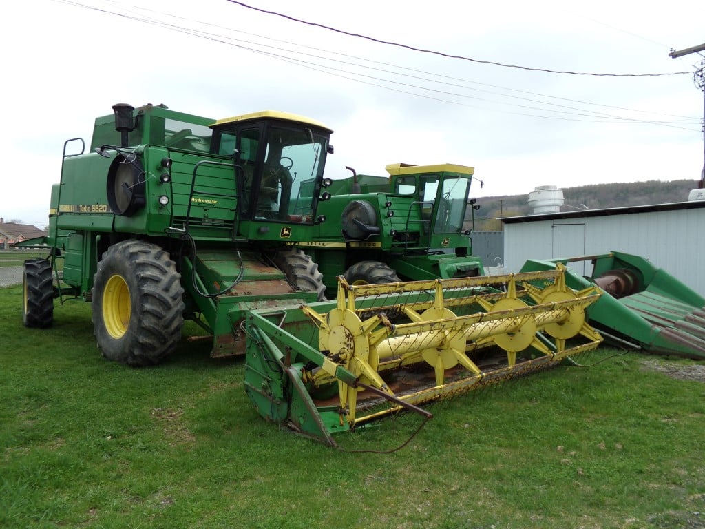 Amish school consignment auction in Virginia with tools, animals