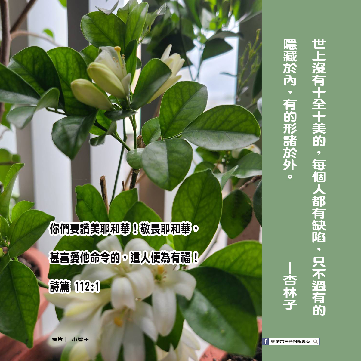 劉俠．杏林子粉絲頁 - 世上沒有十全十美的，每個人都有缺陷，只不過有的隱藏於內，有的形諸於外。—杏林子《種種情懷-痕跡... | Facebook