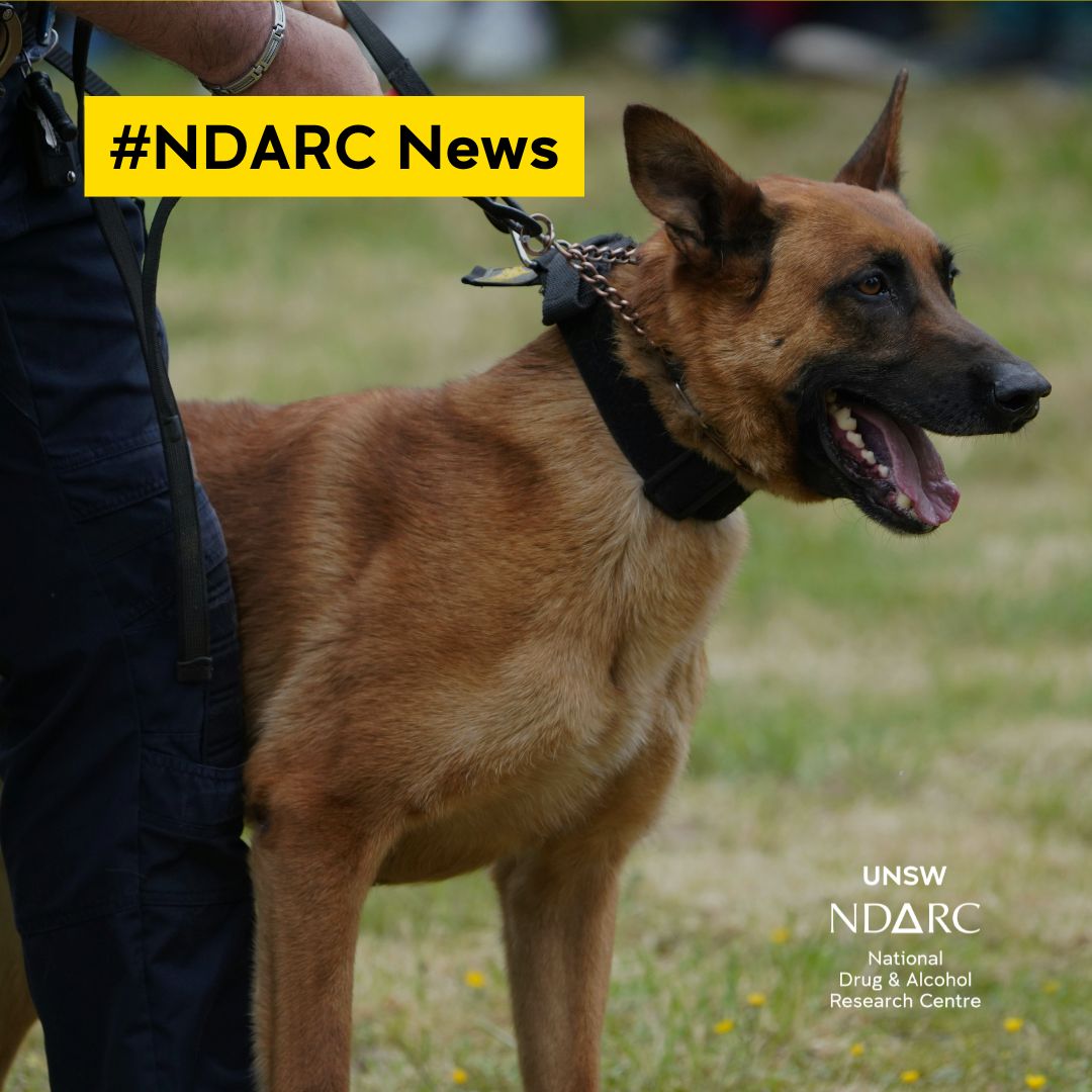 National Drug and Alcohol Research Centre (NDARC) | Randwick NSW