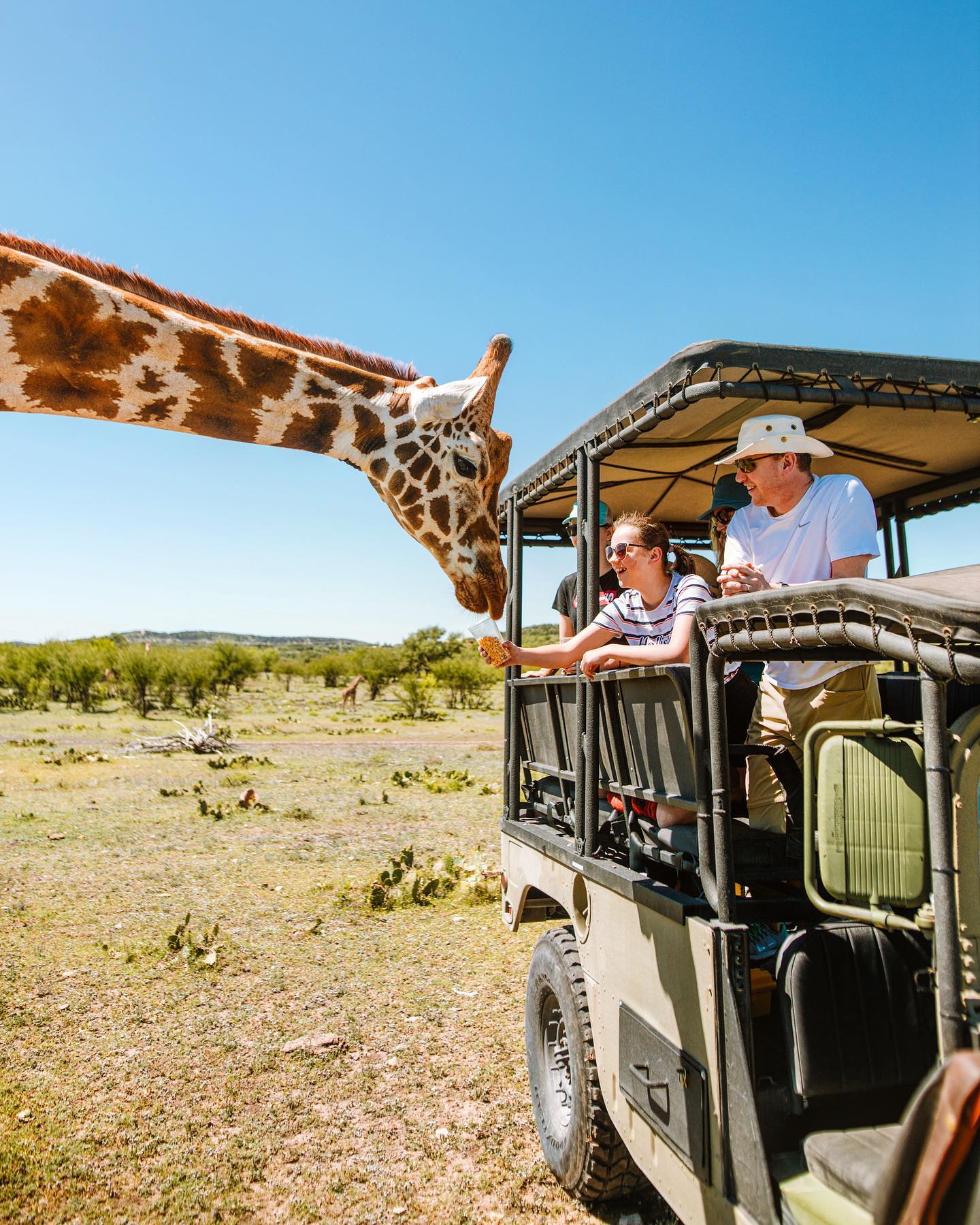 Come out to Ox Ranch to enjoy our... - Ox Hunting Ranch | Facebook