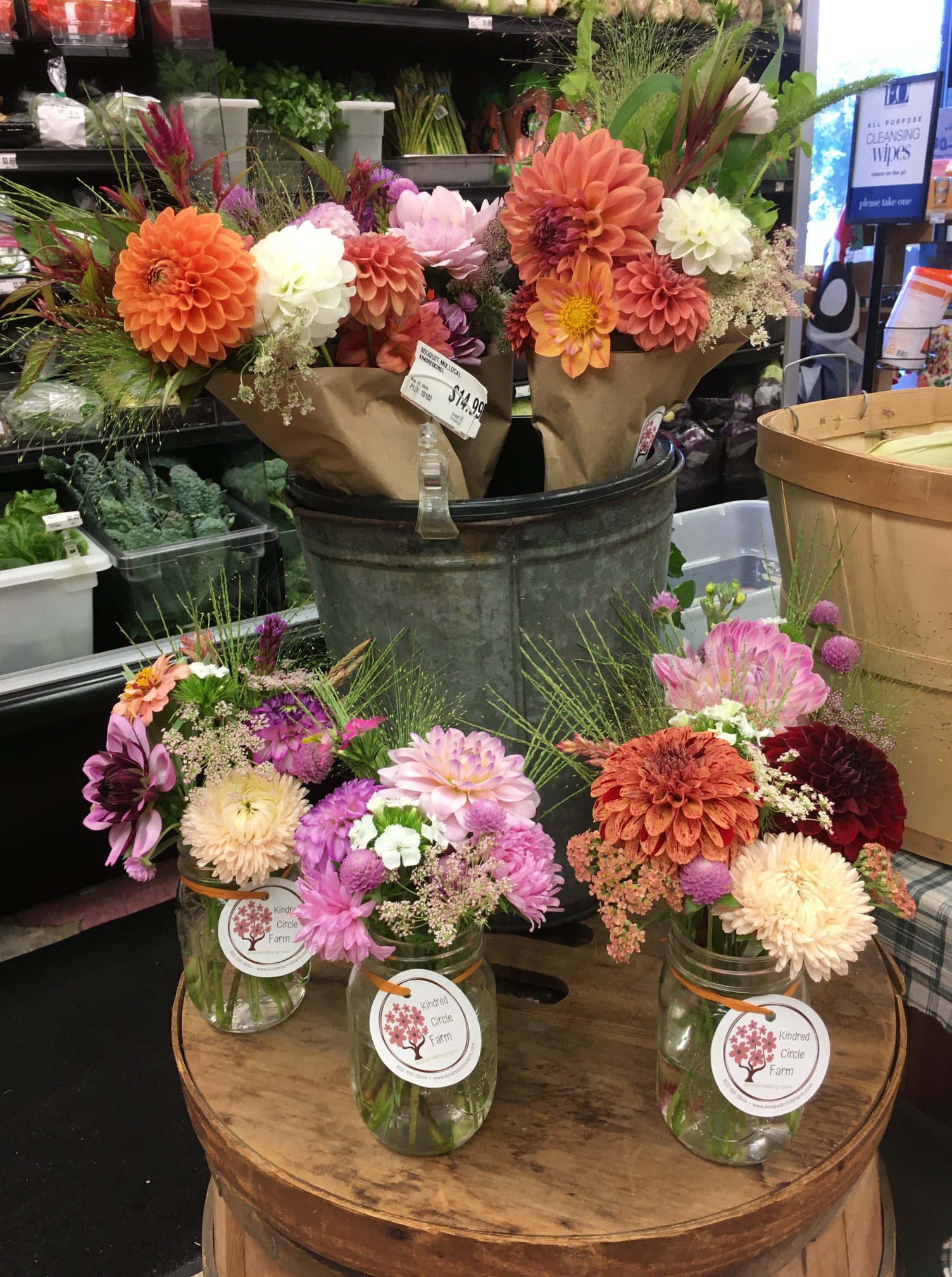 Kindred Circle Farm | Springfield VT