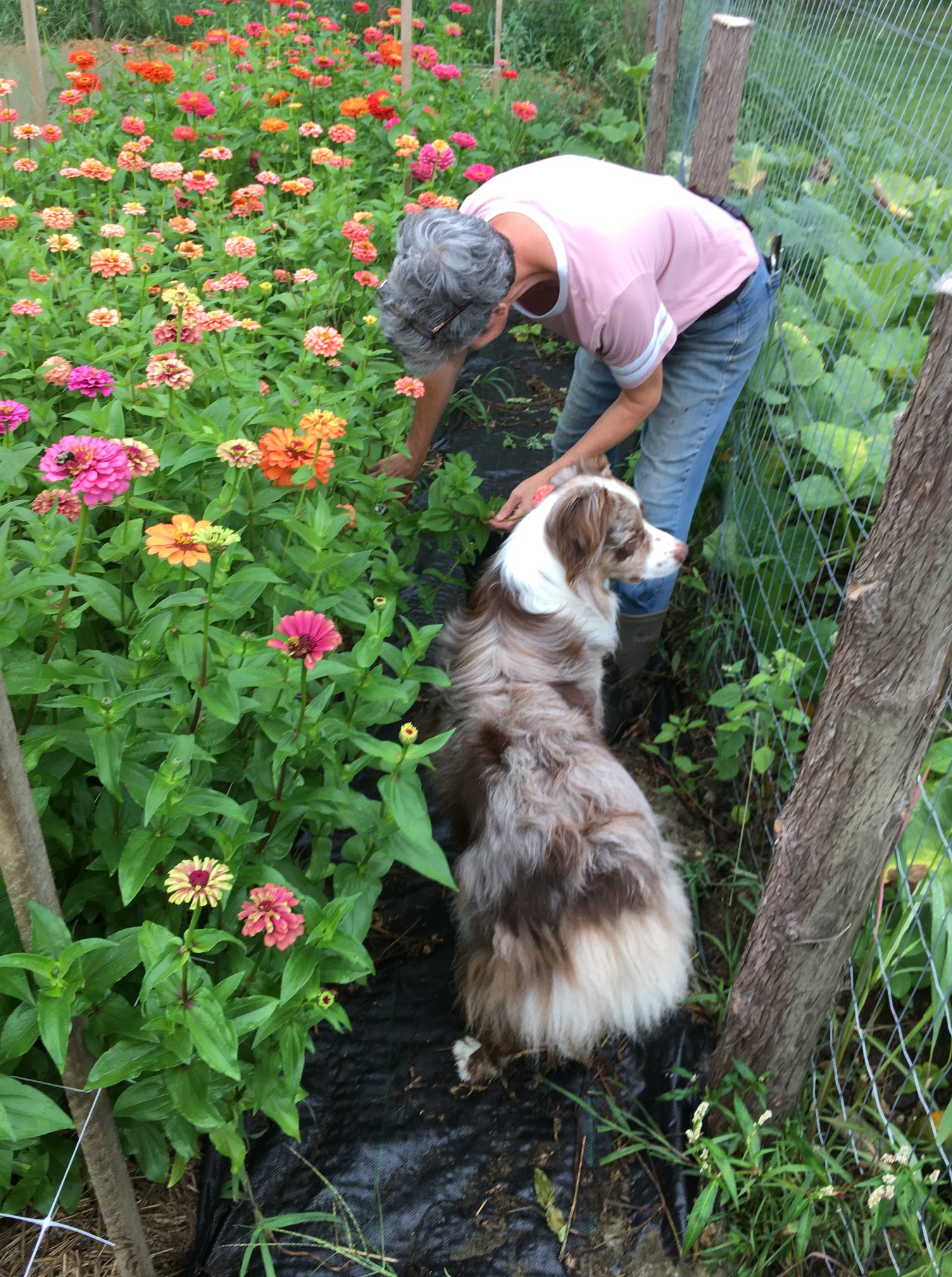 Kindred Circle Farm | Springfield VT