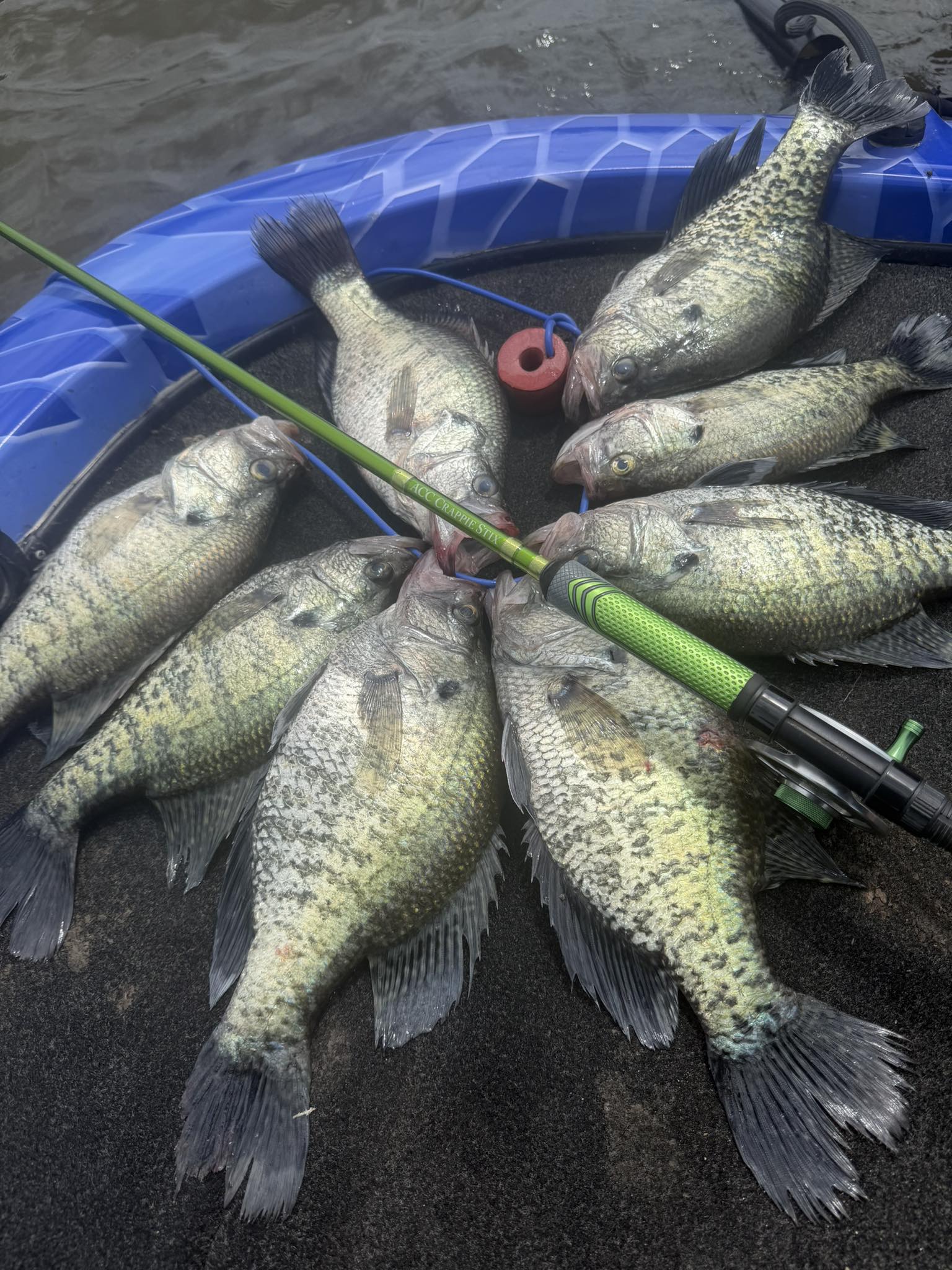 crappie fishing poles outdoor world Lew's Mr. Telescopic Pole, 10-ft, 3-Pc sensitive crappie spinning rod with stainless guides and long Catching any crappie today? Bass
