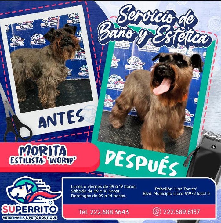 Superrito - Les presentamos el antes y después de estos... | Facebook