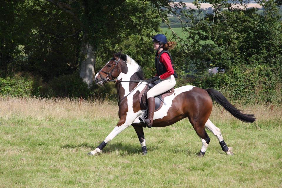 R.J.I equestrian | Launceston