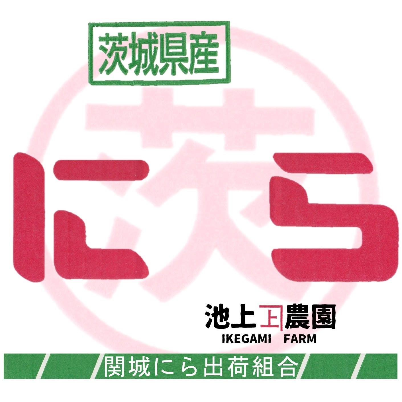 池上農園 関城にら出荷組合 Home Facebook