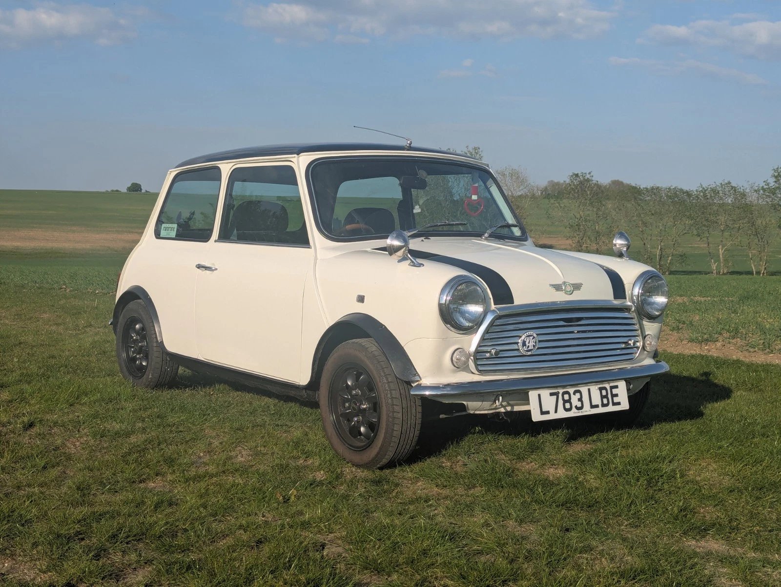 What type of classic JDM Rover Mini is it based on the VIN?