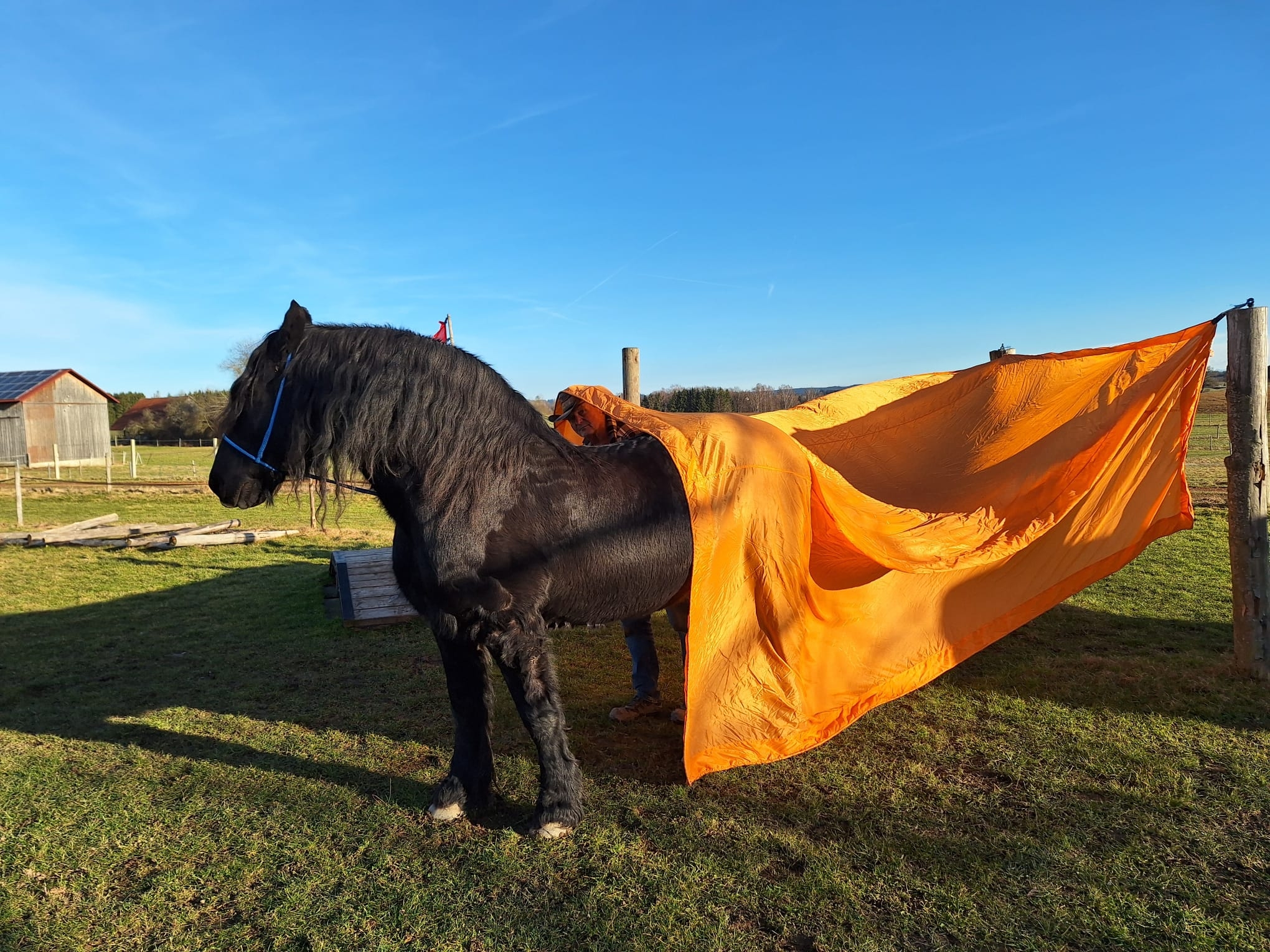#InShot | HeiBo Ranch Trailriding Aulendorf | Facebook