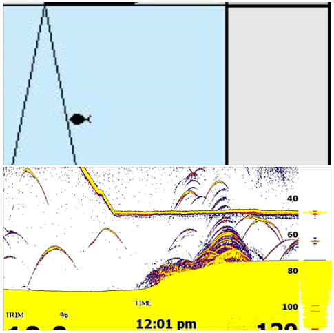 fish finder that shows your lure LUCKY Portable Finders Wired Transducer Kayak Fish Kit Portable Depth Finder LCD Display for Kayak Boat Ice Fishing : Electronics and points of interest The Best Fish Finders: LiveScope,