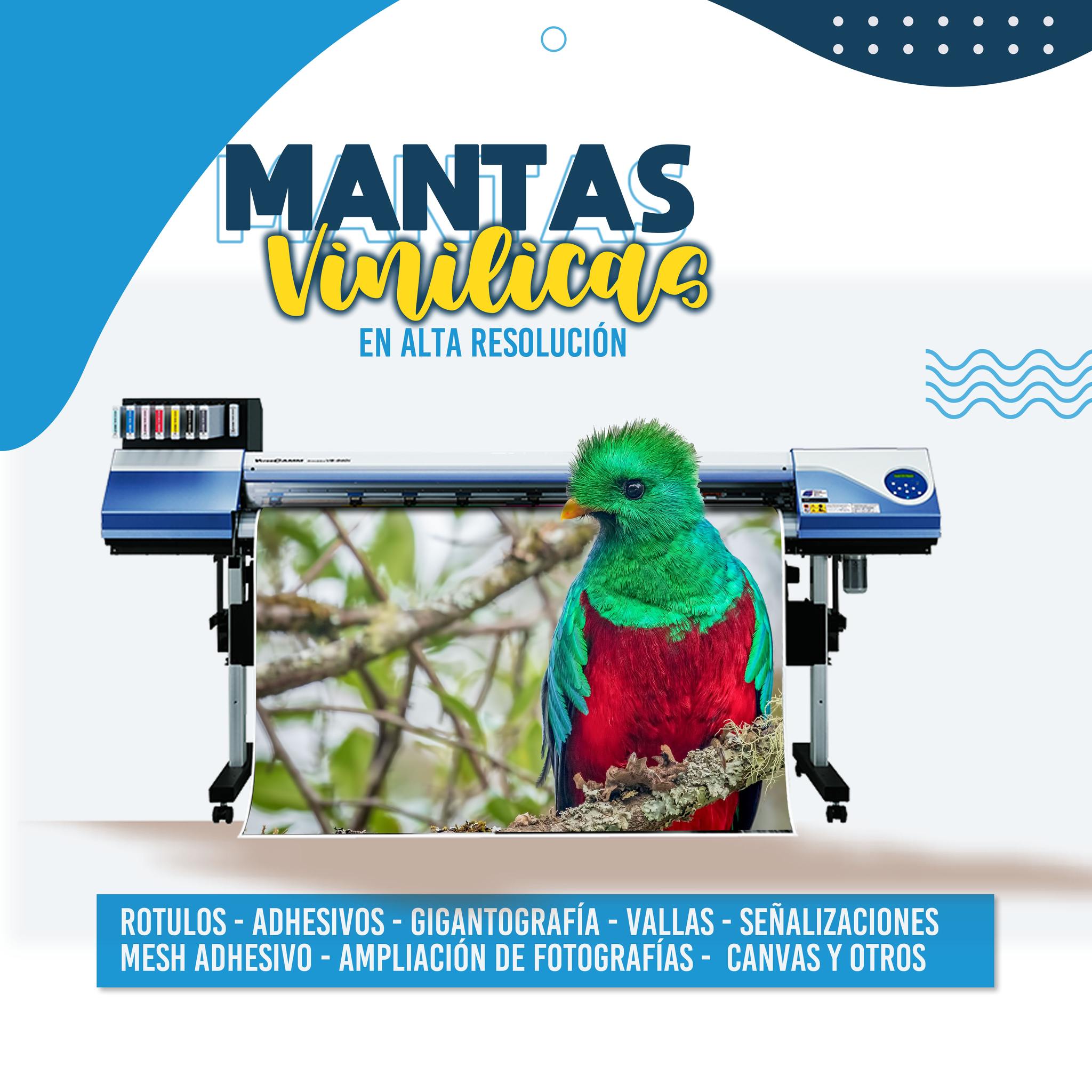 Digital Plus | Atescatempa