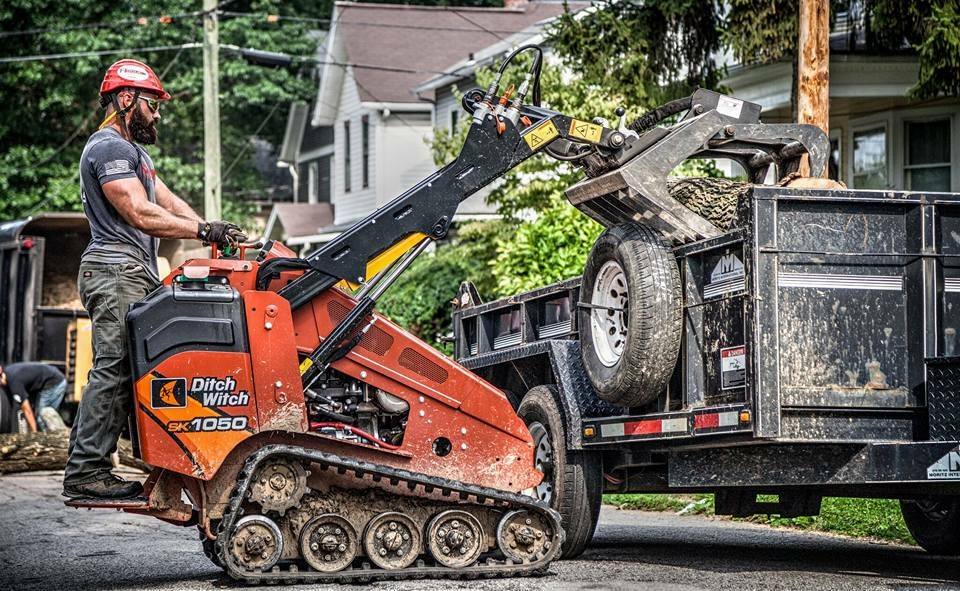 Rogue Tree Solutions | Smithville OH