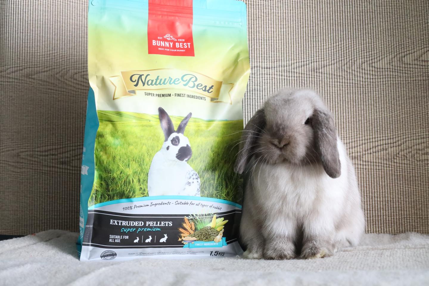 ((Nature Best ::... - BunnyBest.Official | Facebook