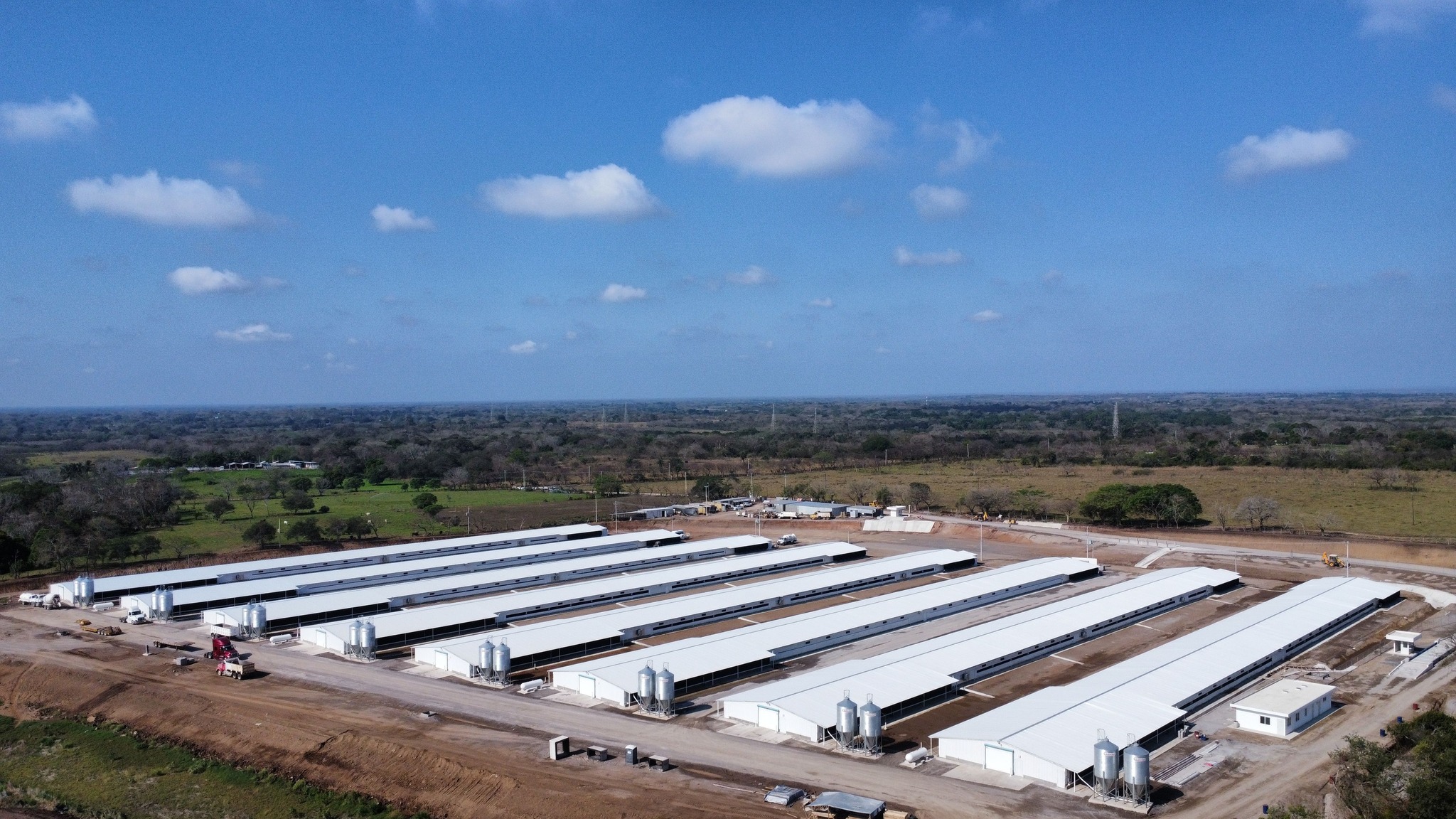 Automatización y mantenimiento en equipo avícolas y porcicolas D&E