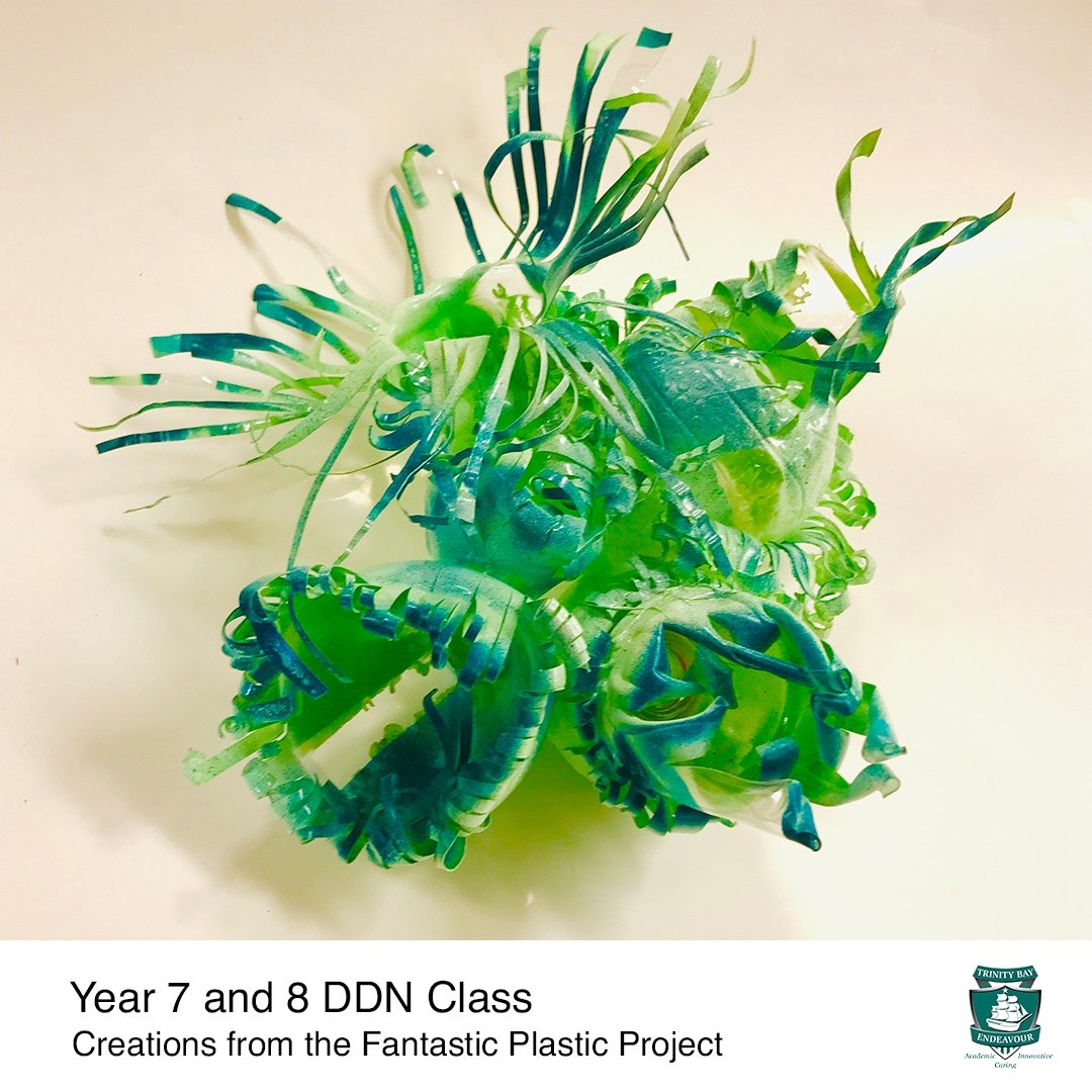 Trinity Bay State High School - Our Year 7 and 8 DDN classes created ...