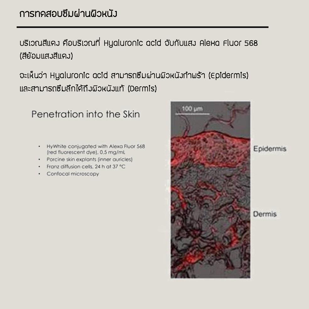นวัตกรรมใหม่ คือการนำ α-linolenic acid และ hyaluronic acid (HyActive ...