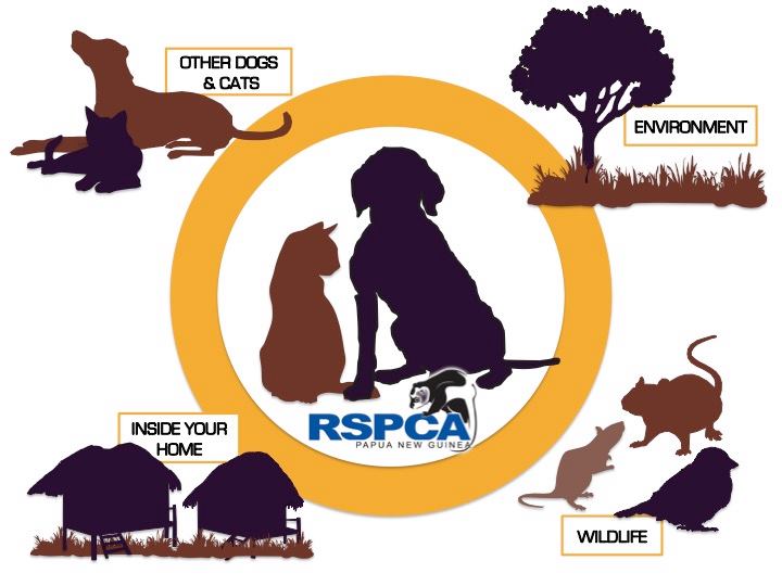 RSPCA of PNG - How Does My Pet Get Ticks? Ticks are an... | Facebook