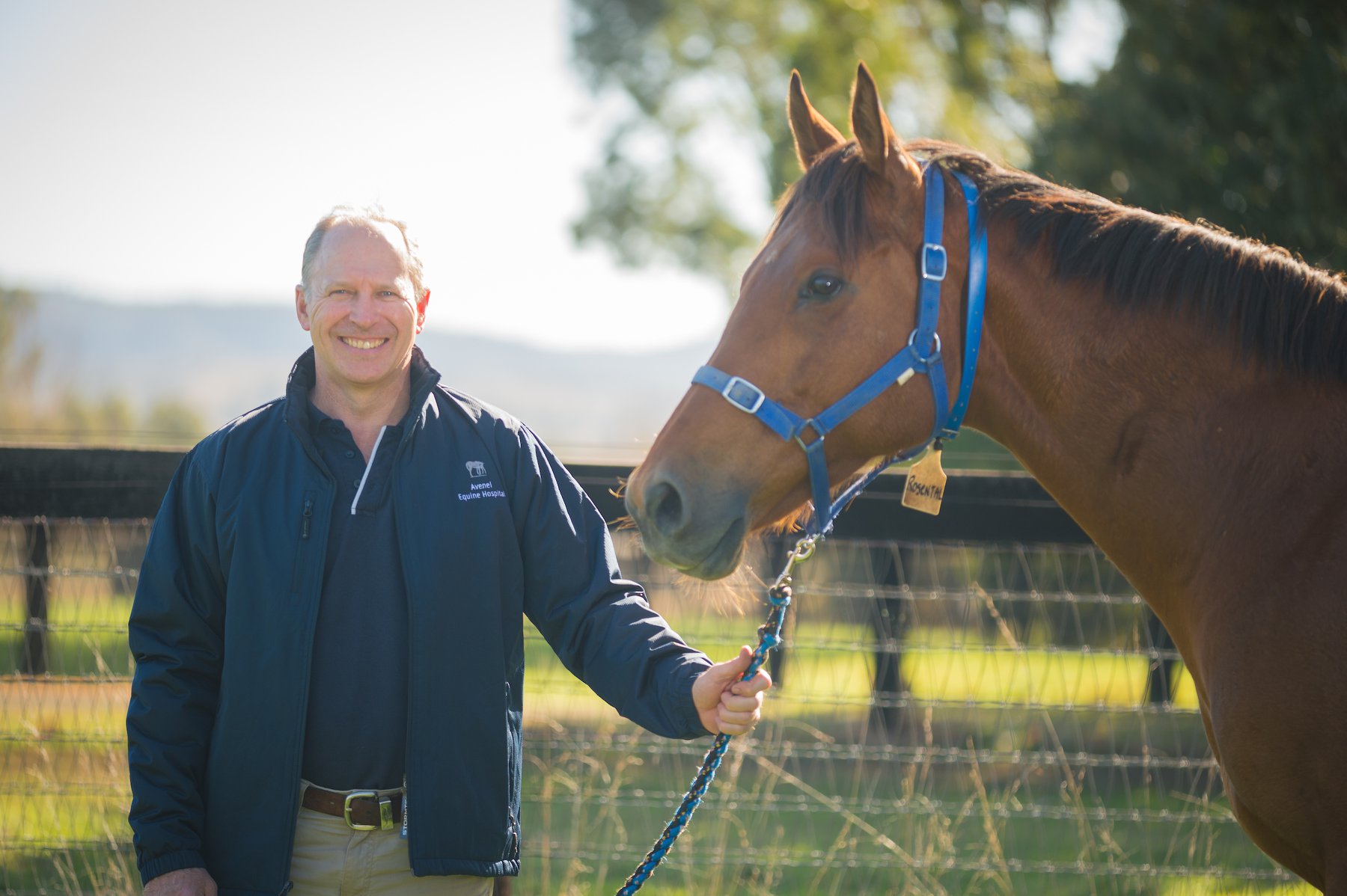A great week for the whole of... - Scone Equine Hospital | Facebook