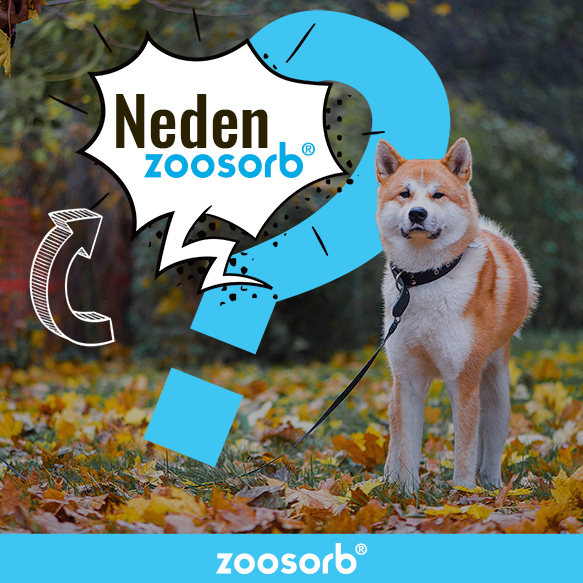 Zoosorb | Ankara