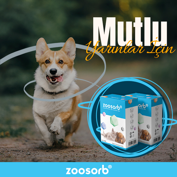 Zoosorb | Ankara