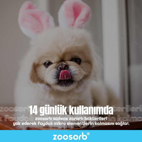 Zoosorb | Ankara