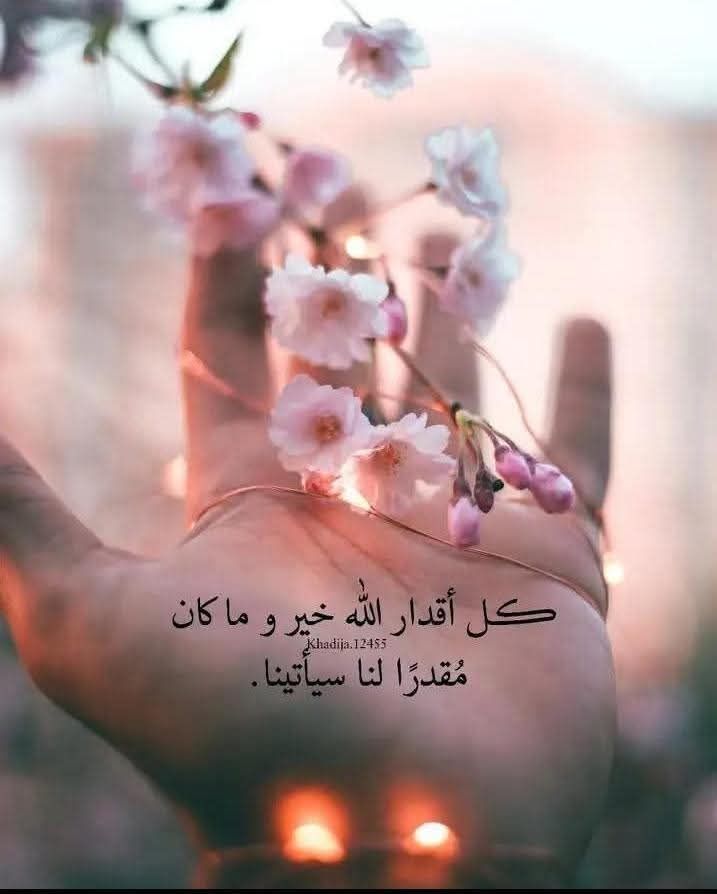 ياسر - س / ماهو اول يوم خلقه الله؟ ج / يوم الاحد س / من هو النبي الذي ...
