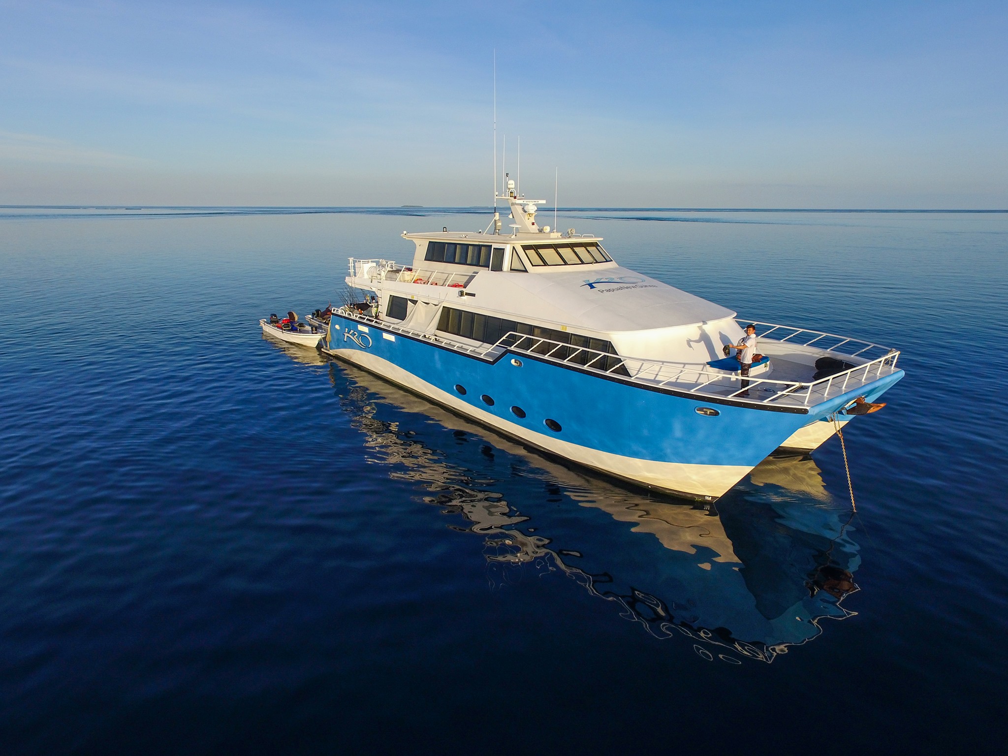 MorningTide Fishing - Perfect shot of Briggsy's Longtail tuna from the ...