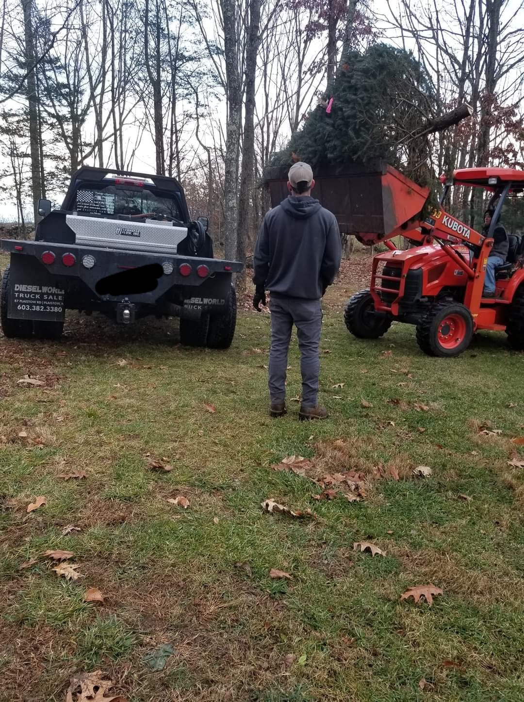 BK Tree Farm - A few pictures from opening weekend! Was...
