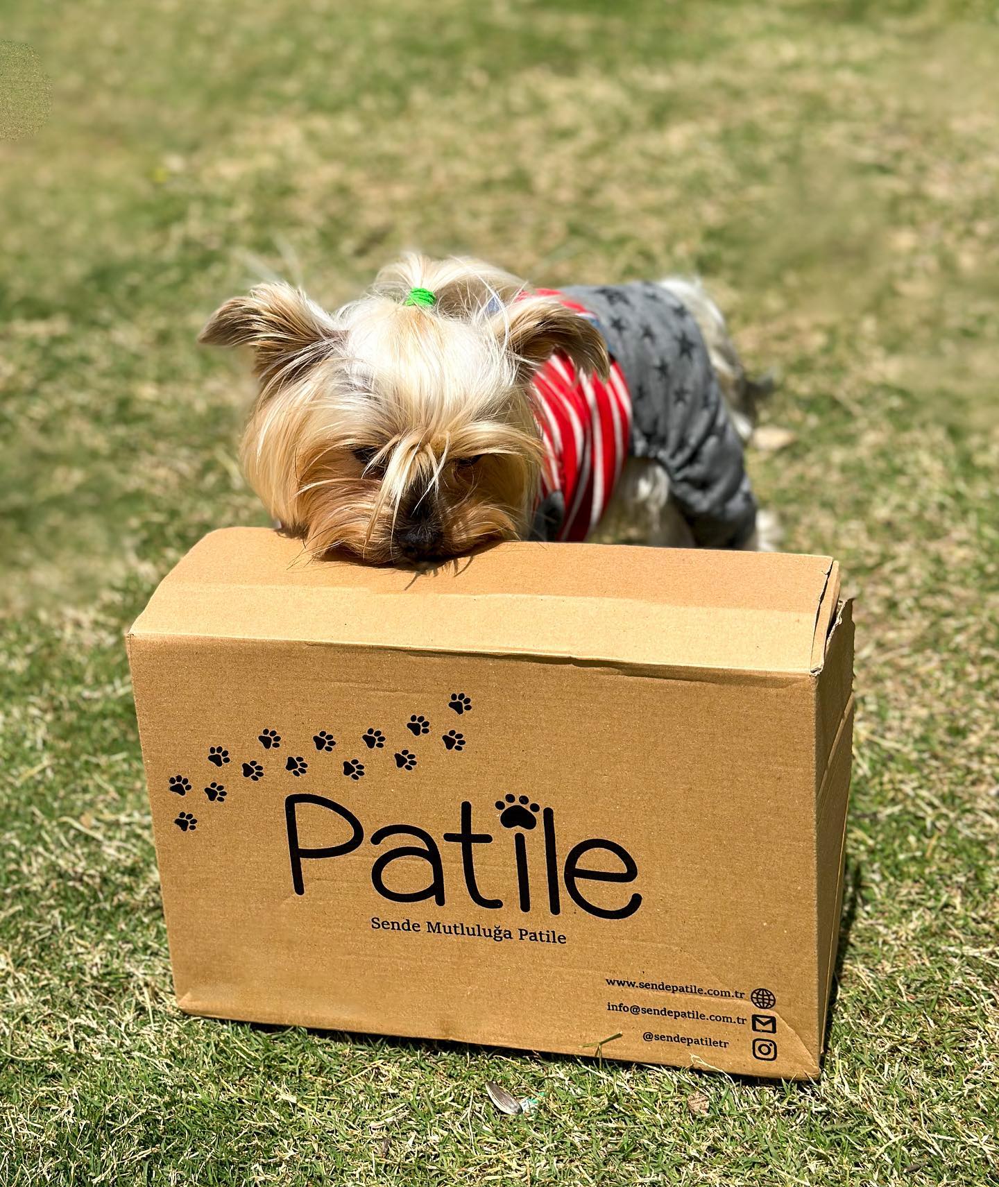 Patile