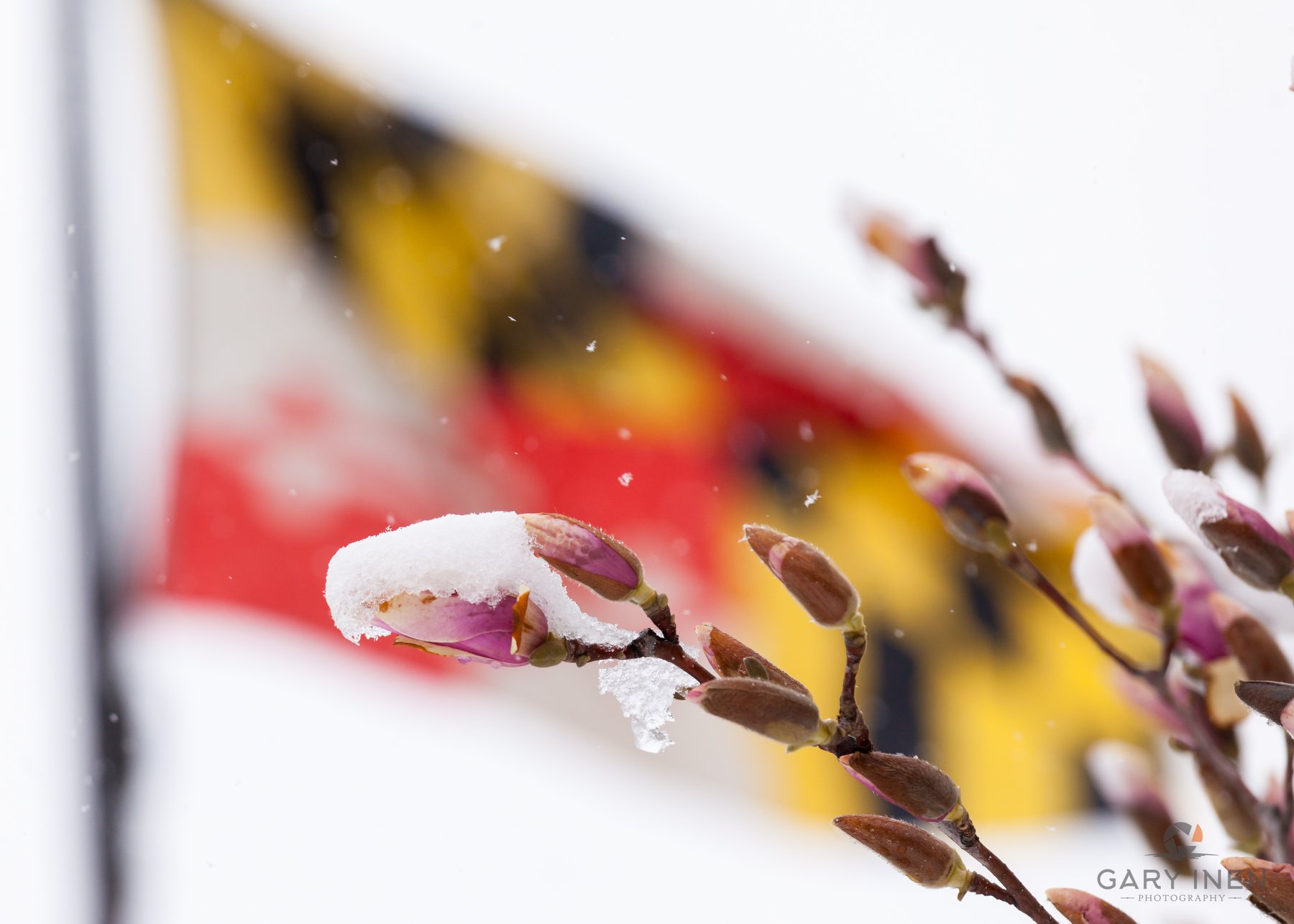 Gary Inen Photography