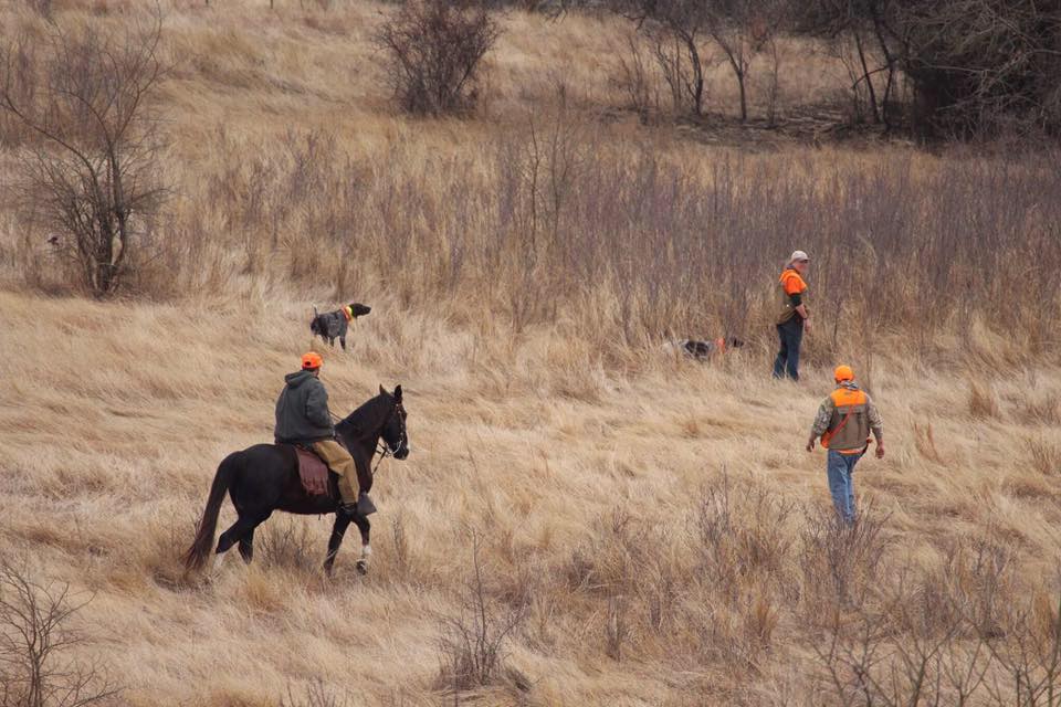 We are... - German Shorthaired Pointer Club of Minnesota | Facebook