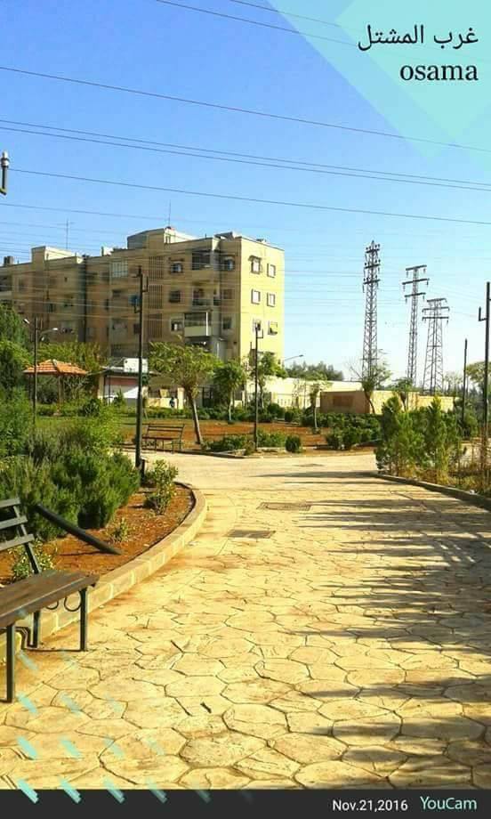 حماه غرب المشتل صباح الخي ر للذين أجادوا ح ب الحياة مهما كانت الظروف Osama Facebook
