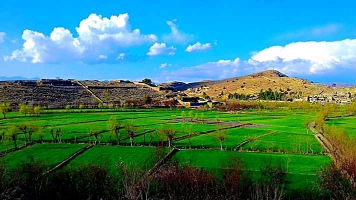 Zubaidullah Sahar