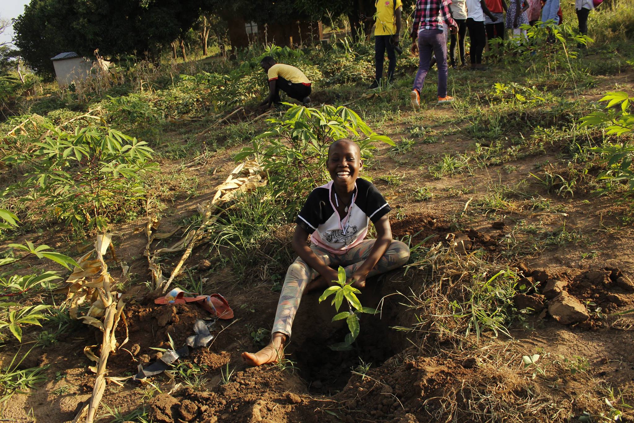 100 mango trees and 50 coffee trees were planted on day one but most of ...