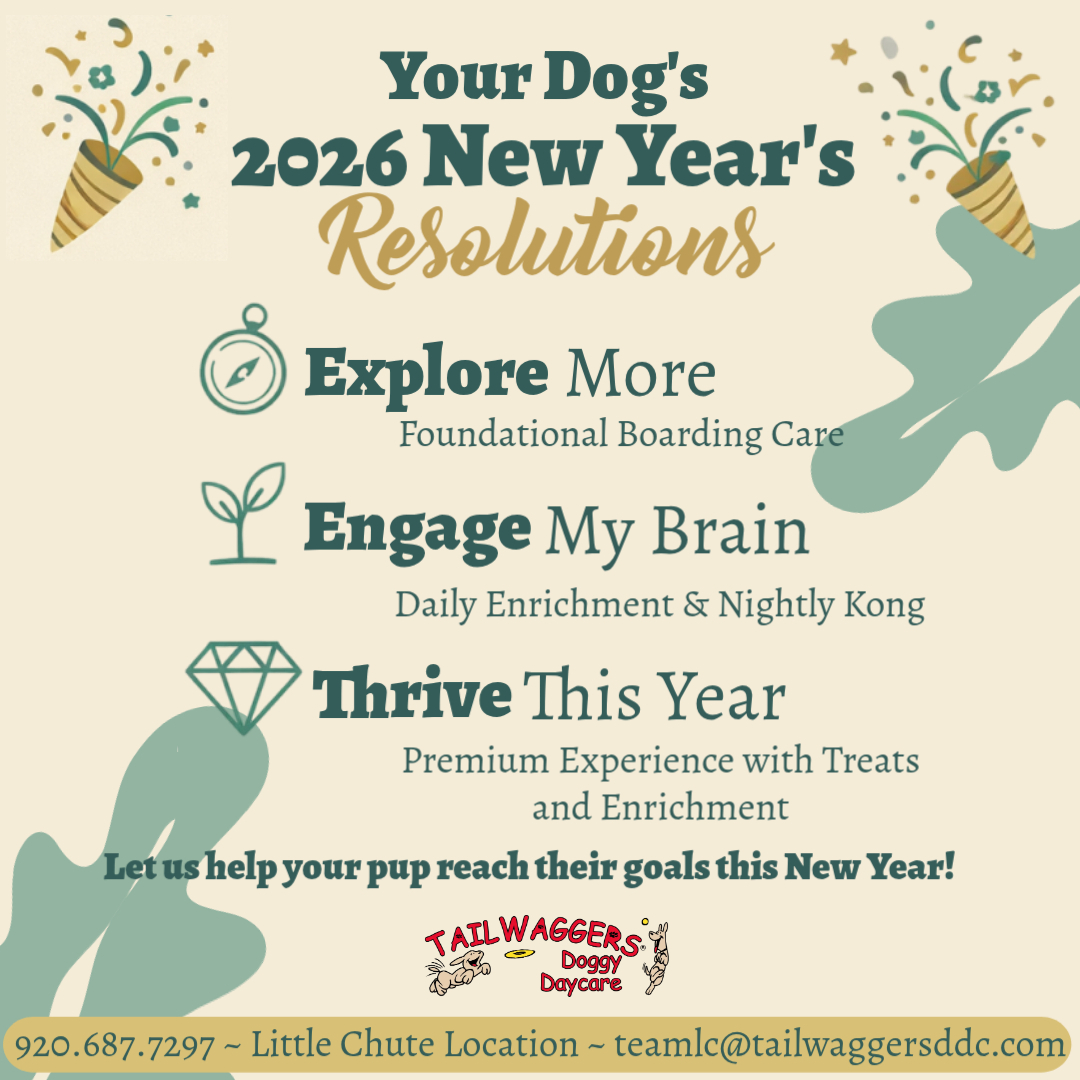 TailWaggers - New year, new wag-olutions! 🐾 In 2026, we’re helping pups ...