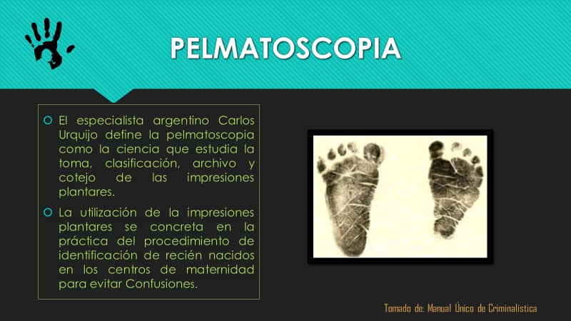 El método de identificación a través de la lofoscopia, en especial la ...