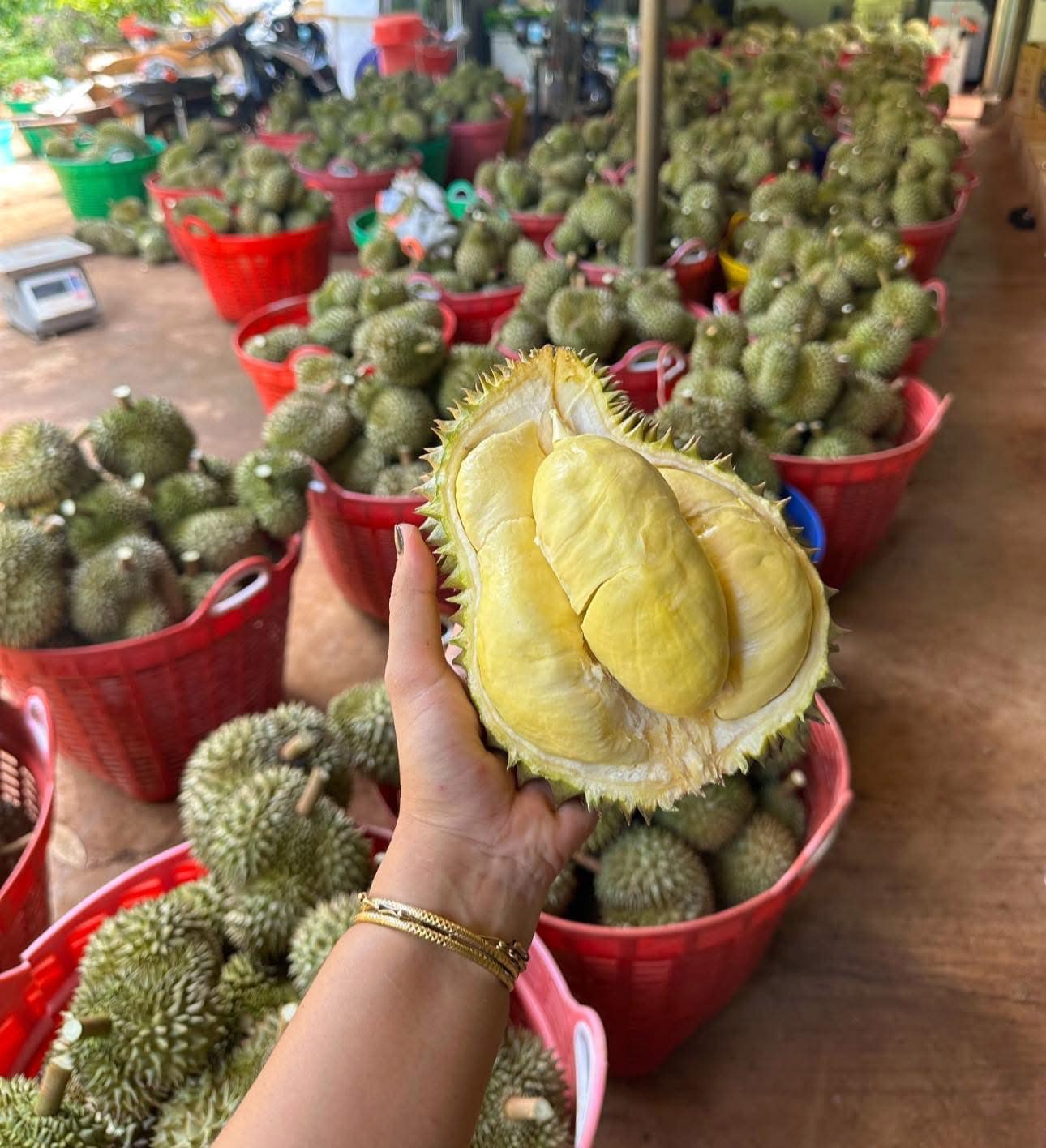 Thuỷ RuBi