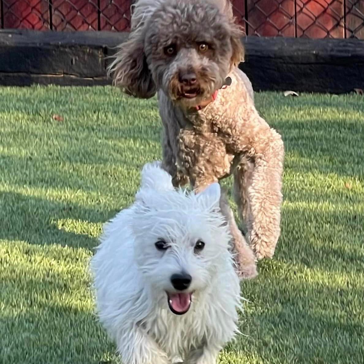 Here is the video evidence and definition of being “Spoiled Rotten ...