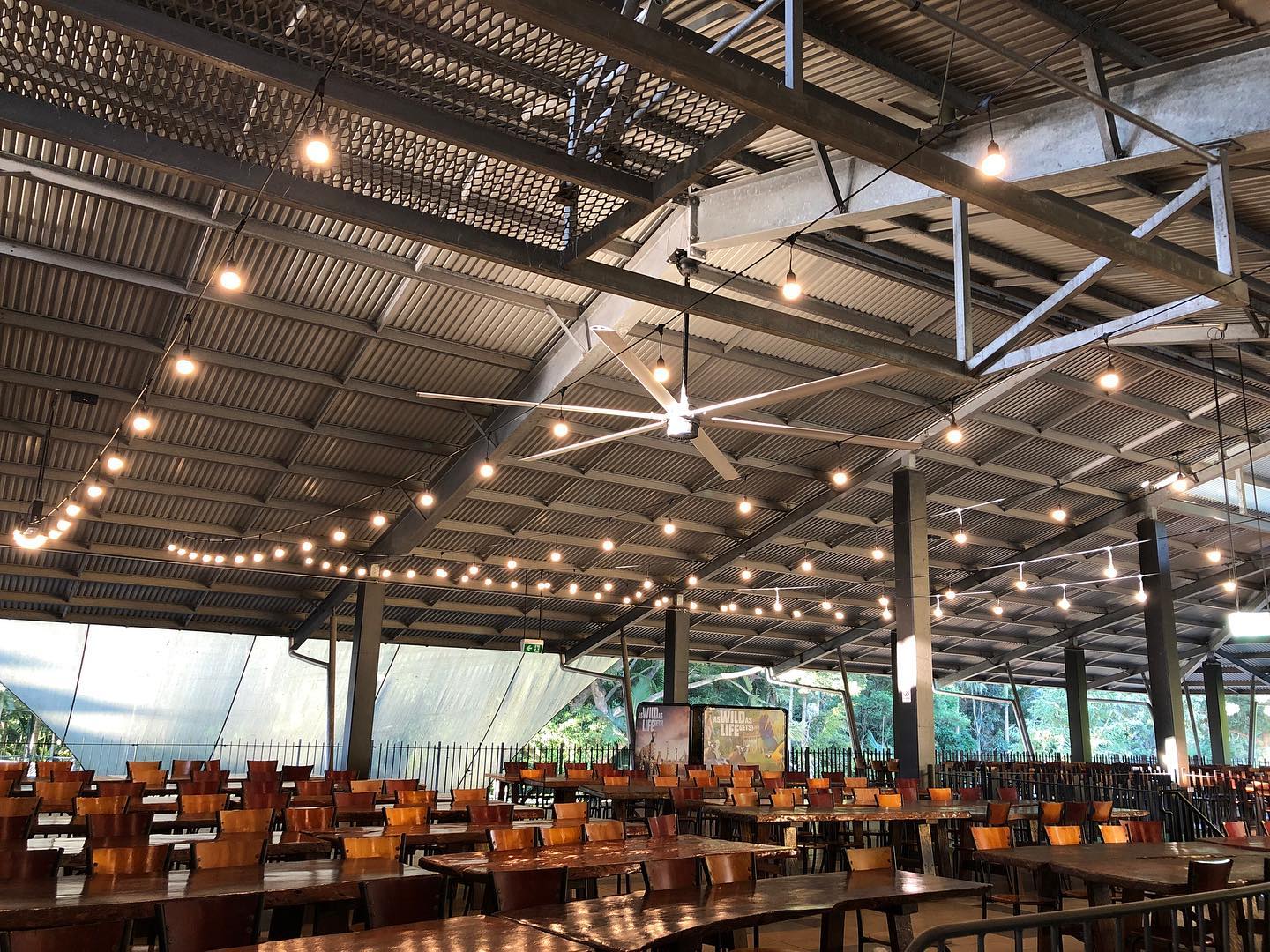 Our TearDrop Festoon making light... - Brisbane Festoon Hire
