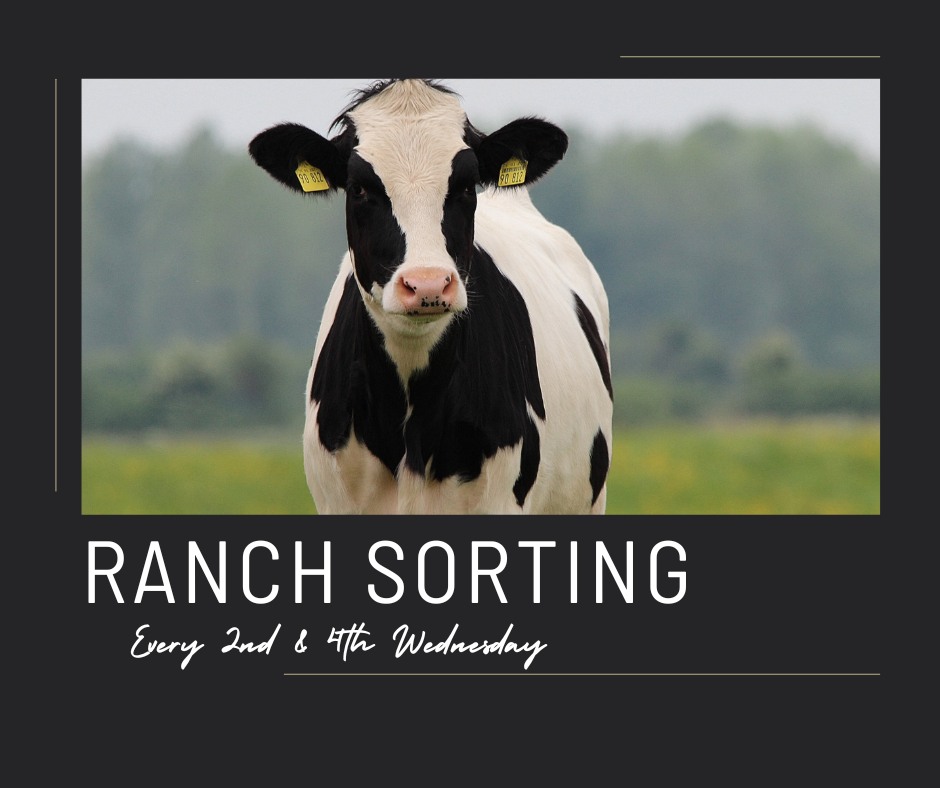 Ranch... - Ranch Sorting at The Equine Events Center, Lynden