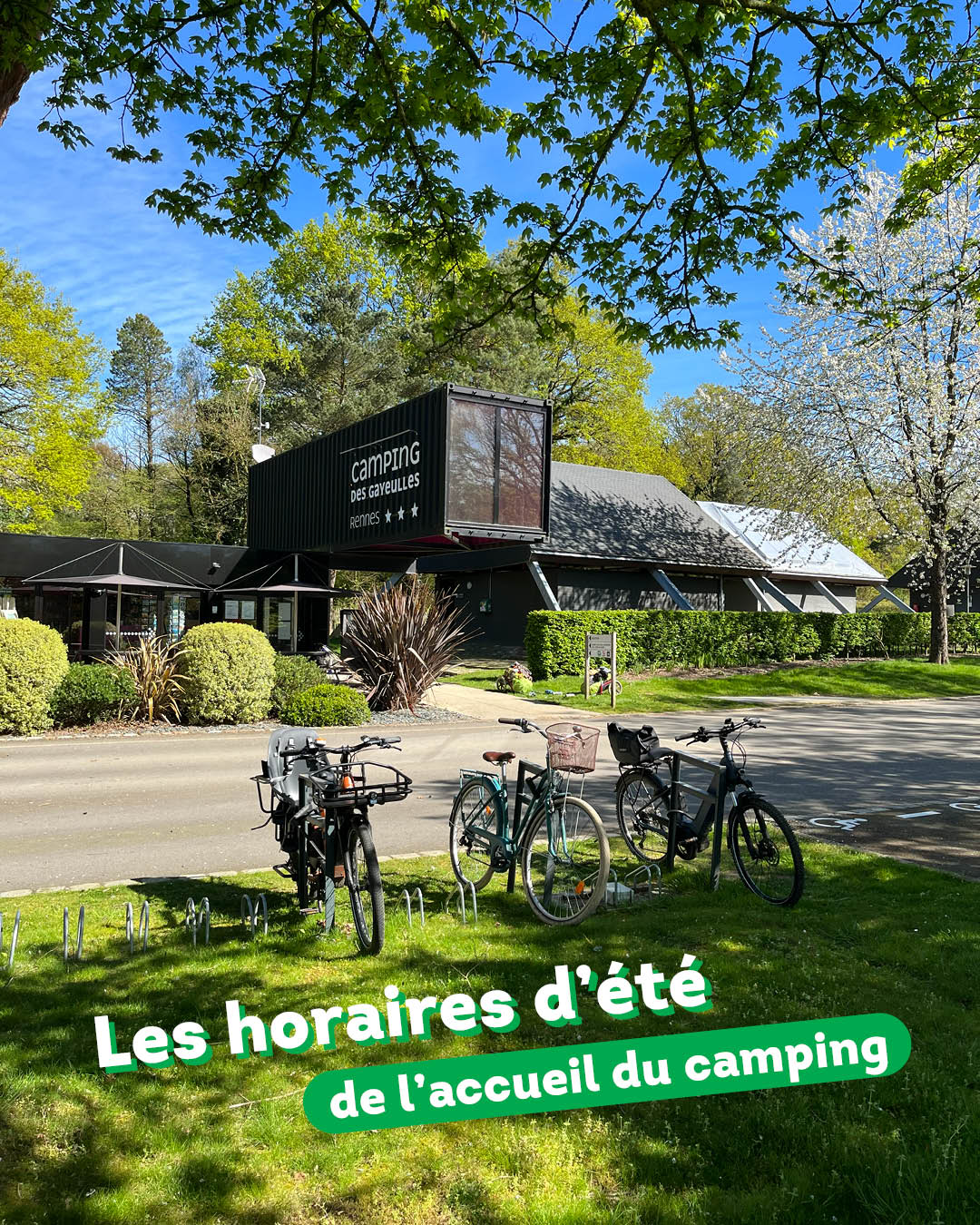 ultralight hammock tent Tentsile Flite 3.0 Tree mtb hose fox Color:Green silver IKEA 🤝 cargo bikes perfect for backpacking